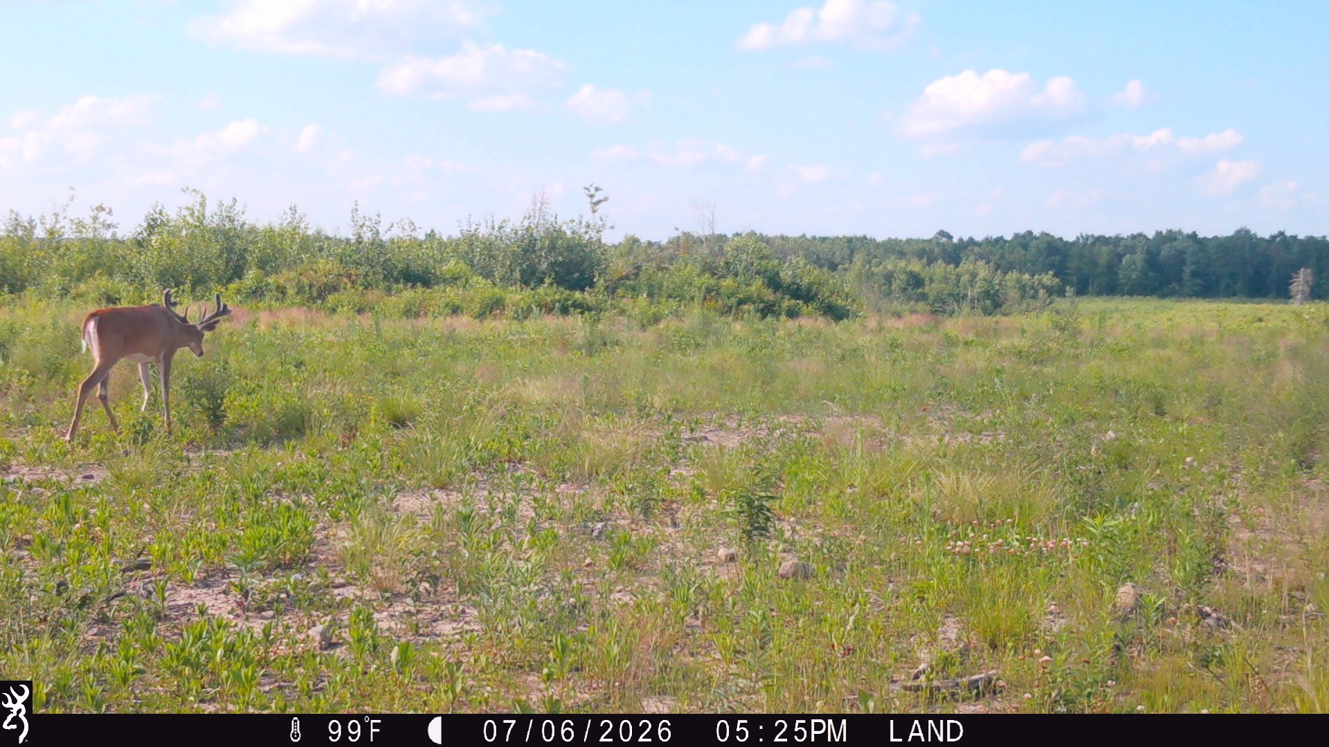 Lot 2 Girod Road Property Photo 10