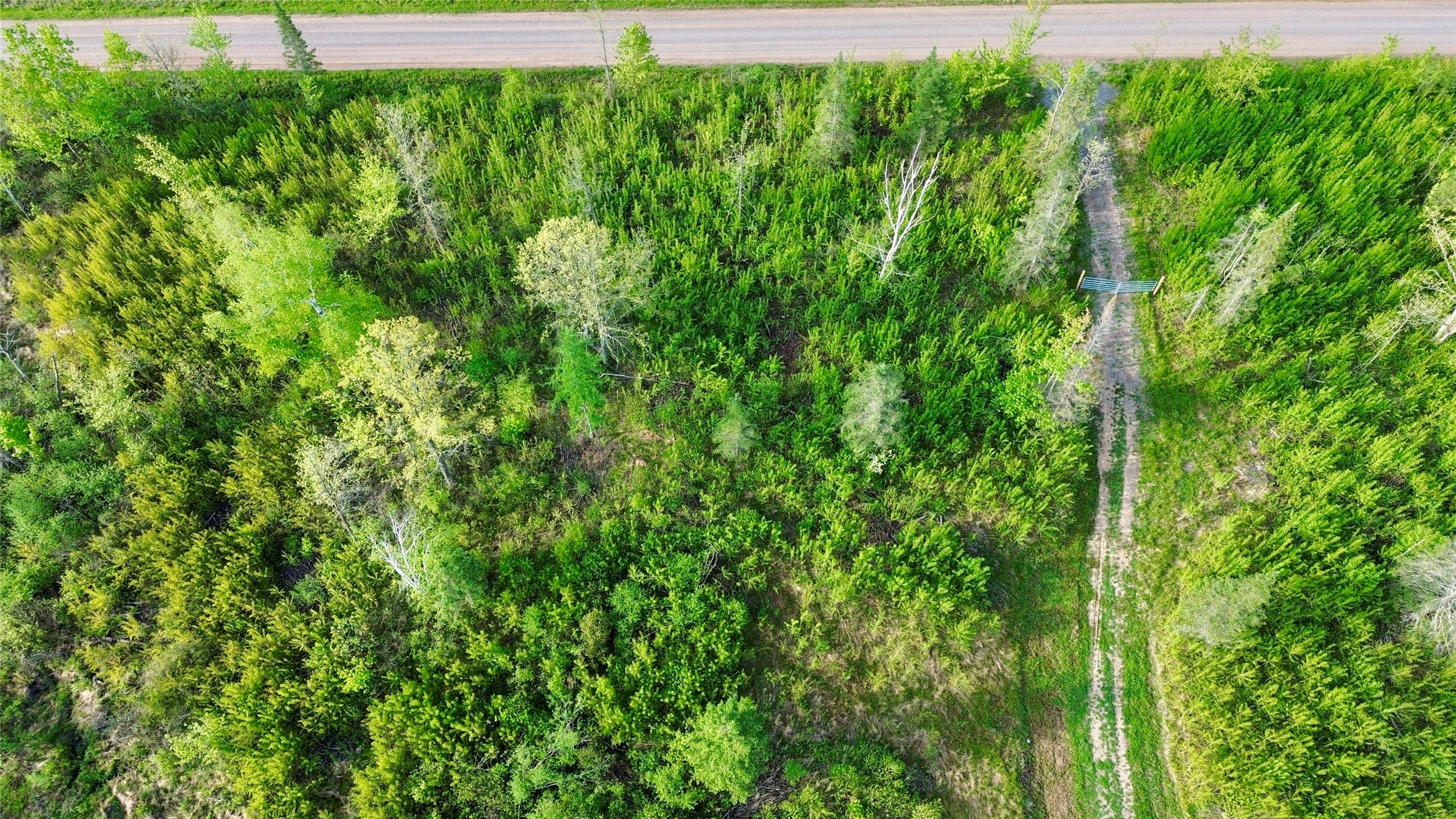 Lot 2 Girod Road Property Photo 20