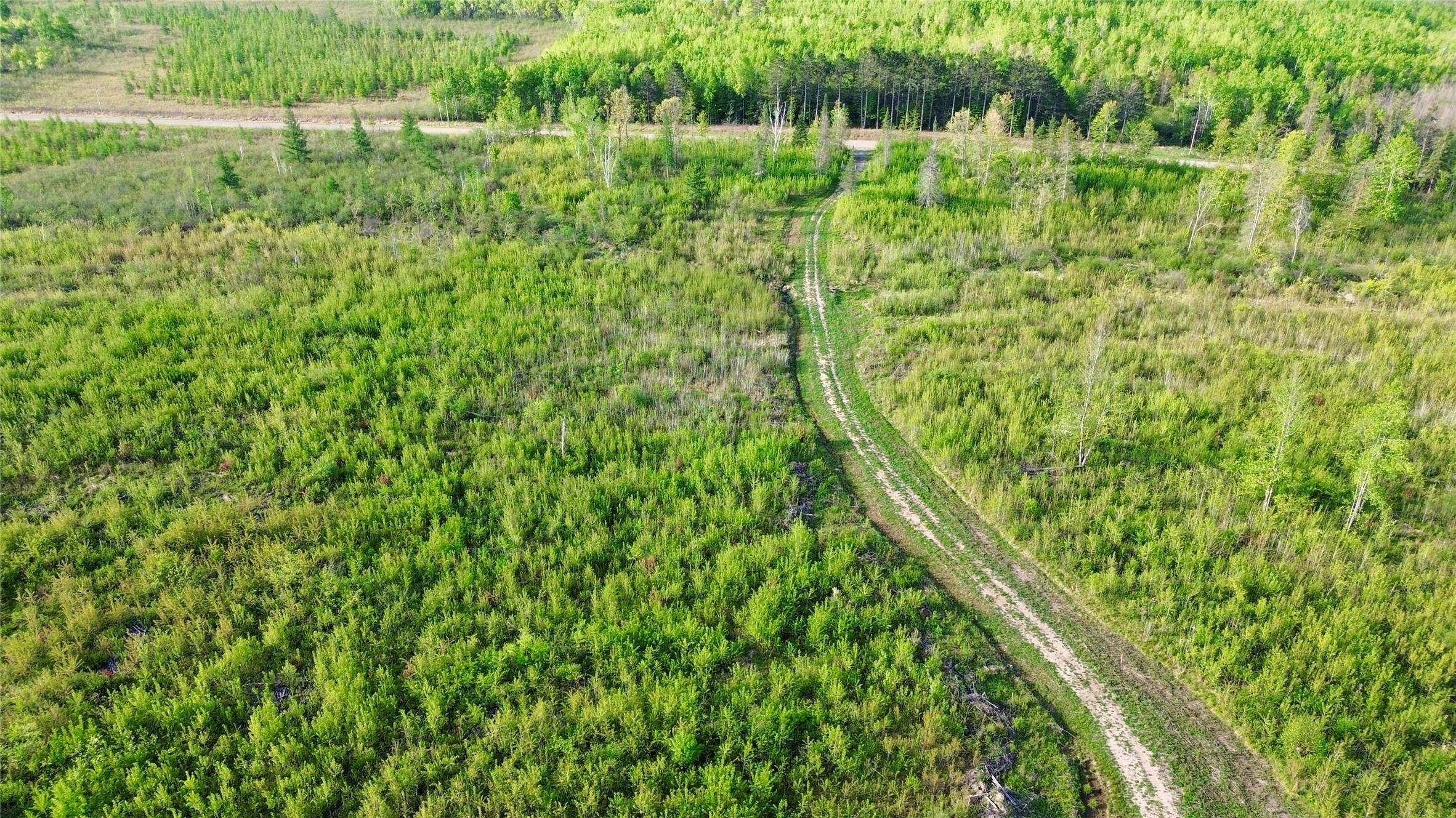 Lot 2 Girod Road Property Photo 21