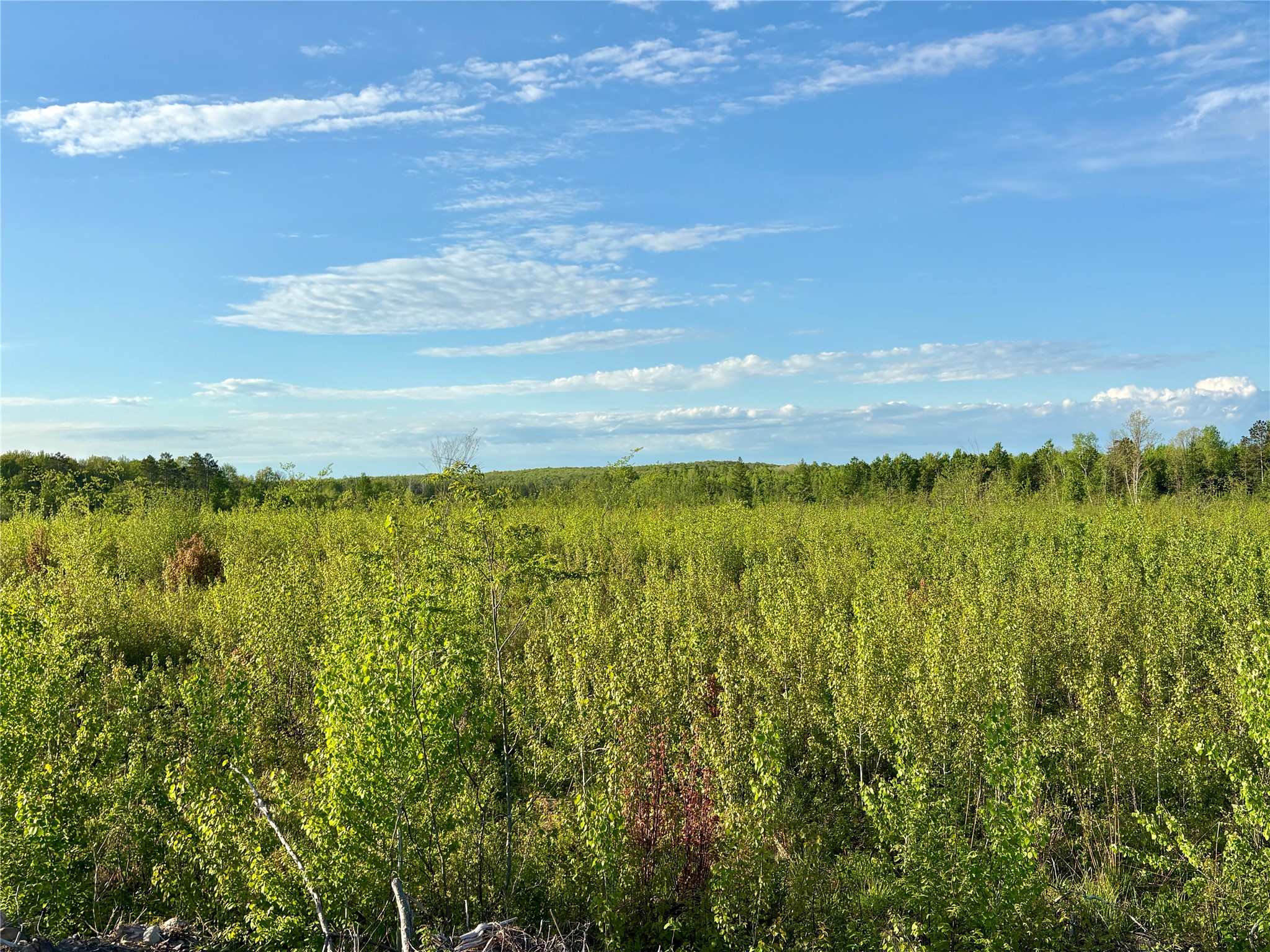 Lot 2 Girod Road Property Photo 25