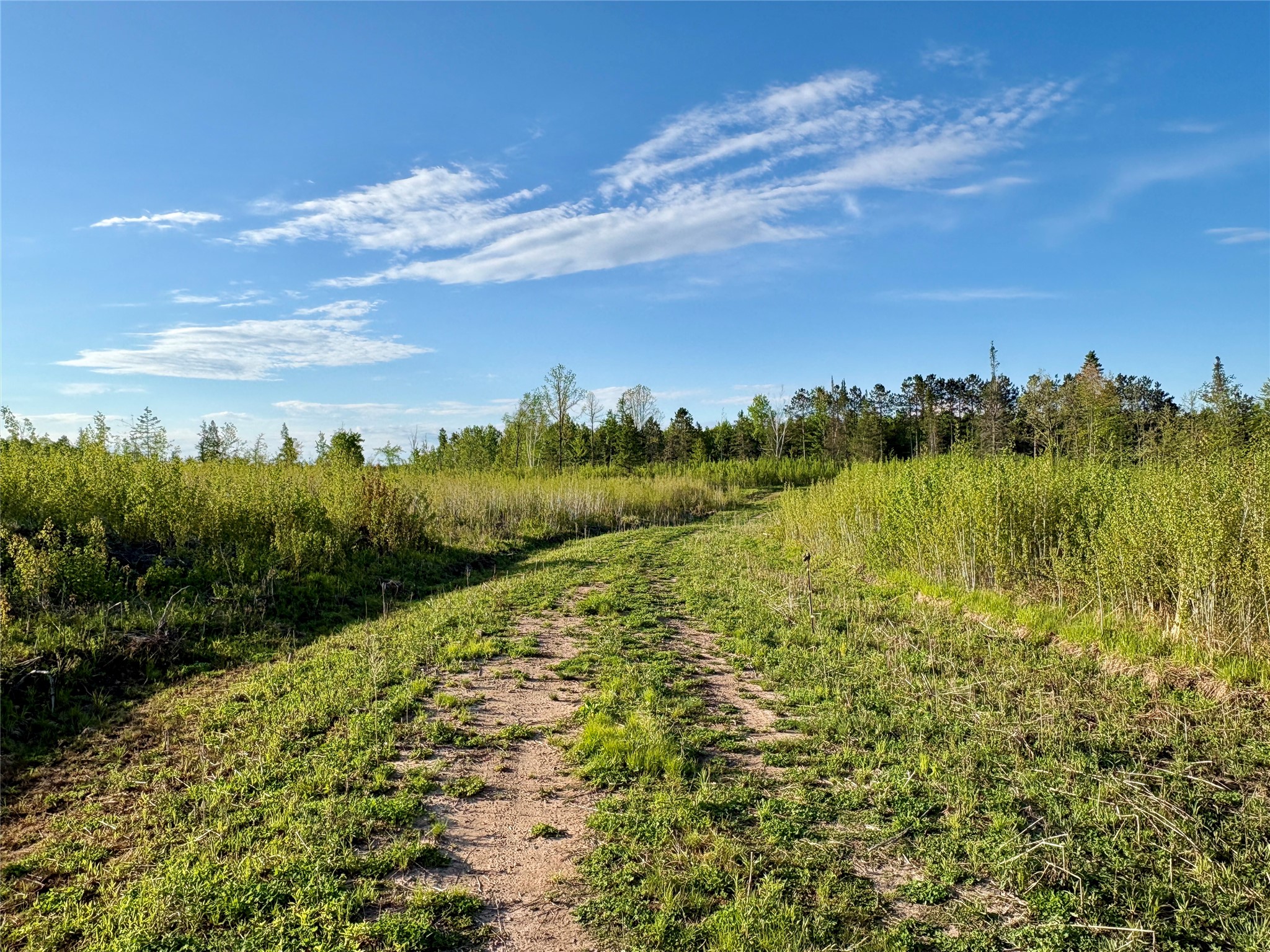 Lot 2 Girod Road Property Photo 28