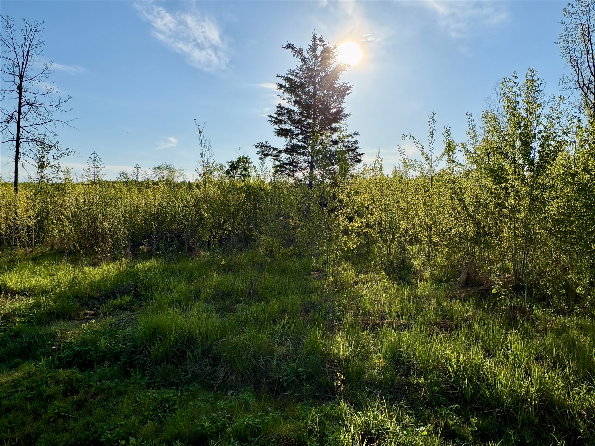 Lot 2 Girod Road Property Photo 29