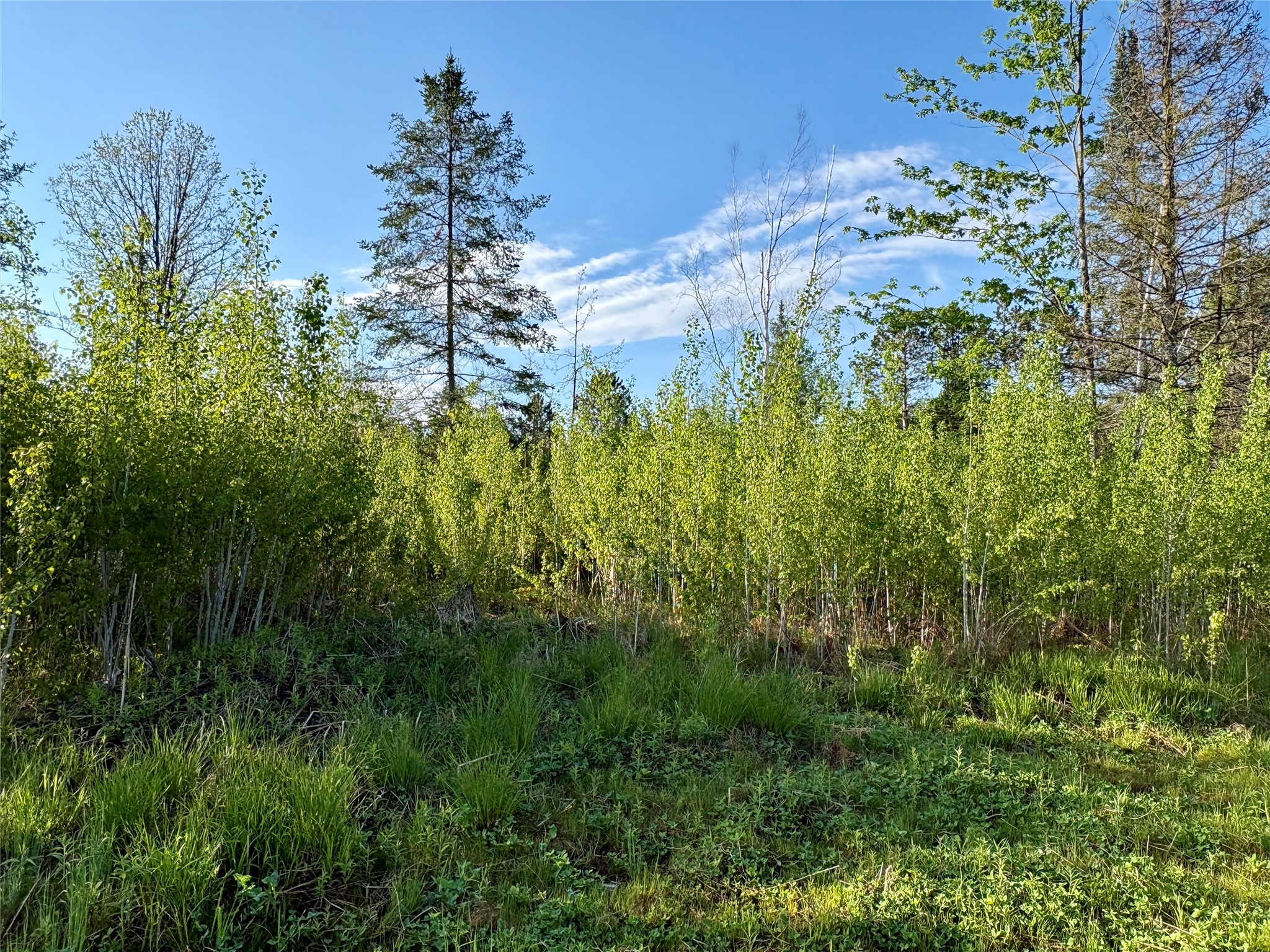 Lot 2 Girod Road Property Photo 30