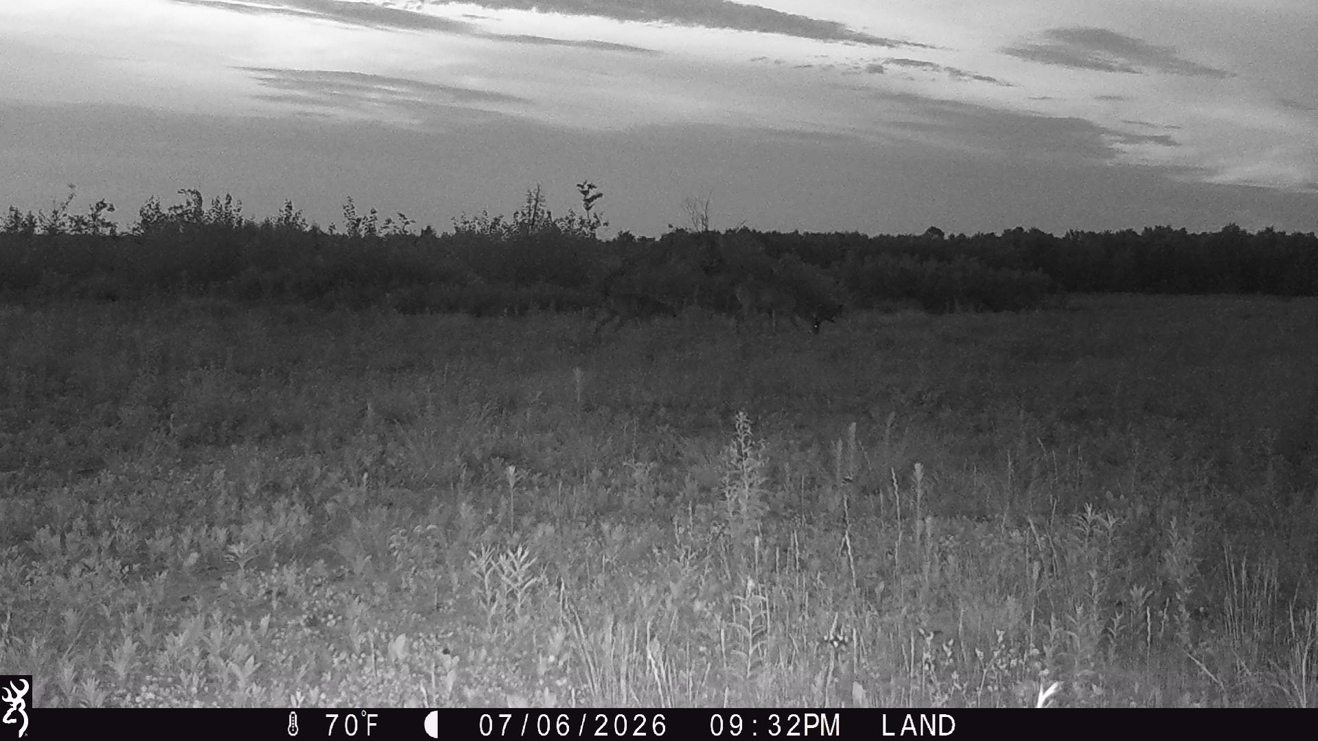 Lot 2 Girod Road Property Photo 33