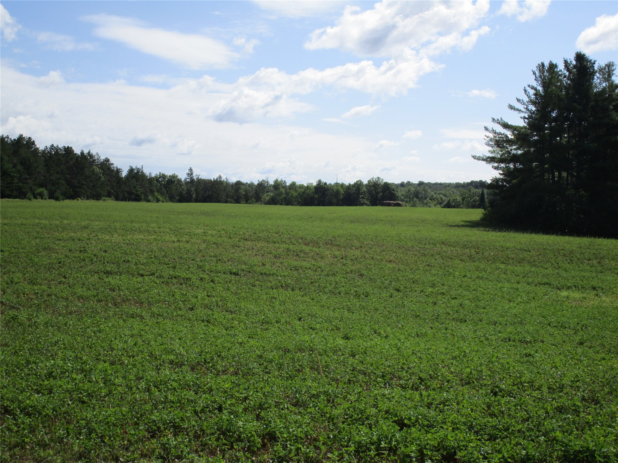 Xx River Pine Drive Property Photo 1