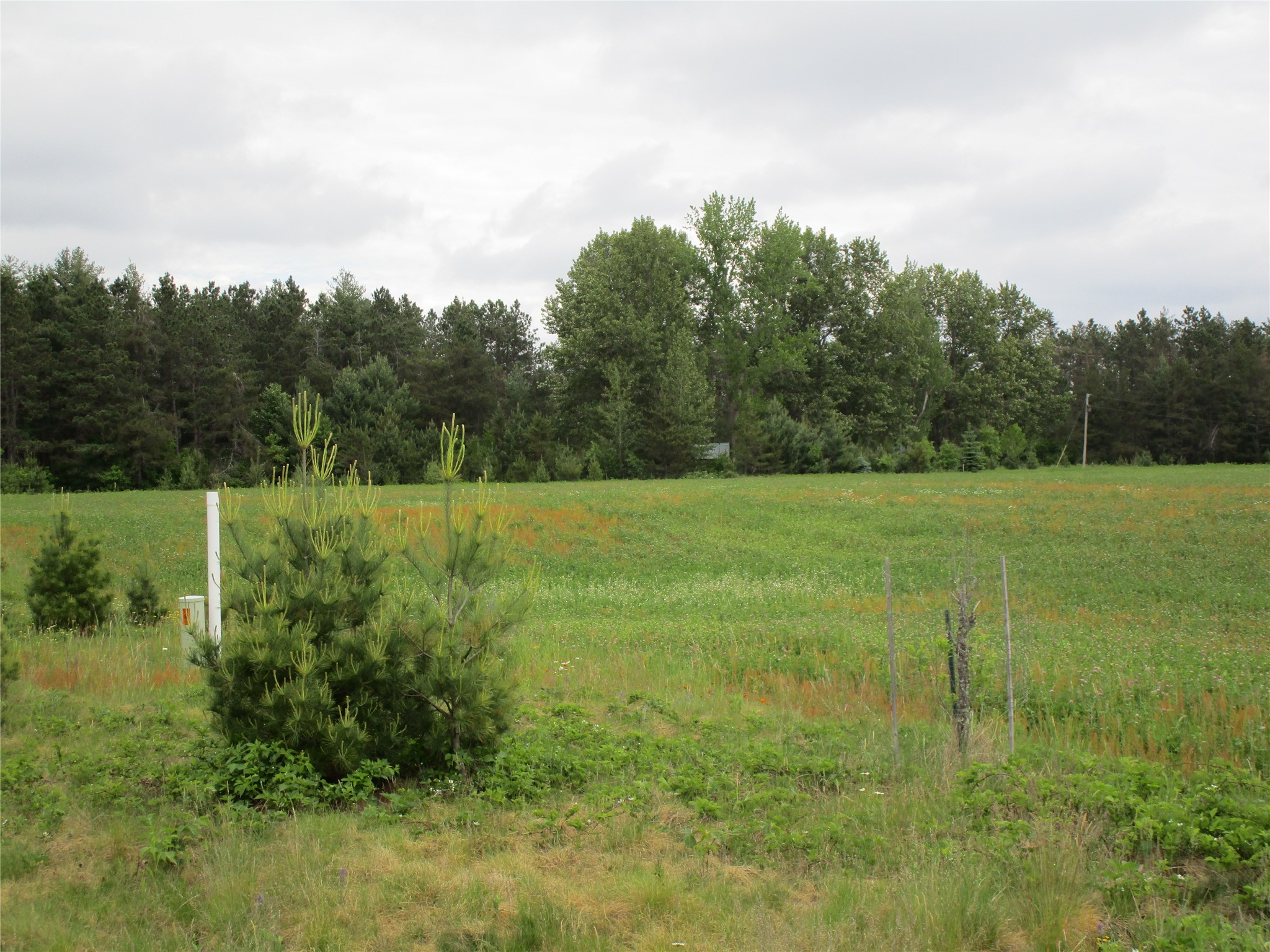 Xx River Pine Drive Property Photo 2