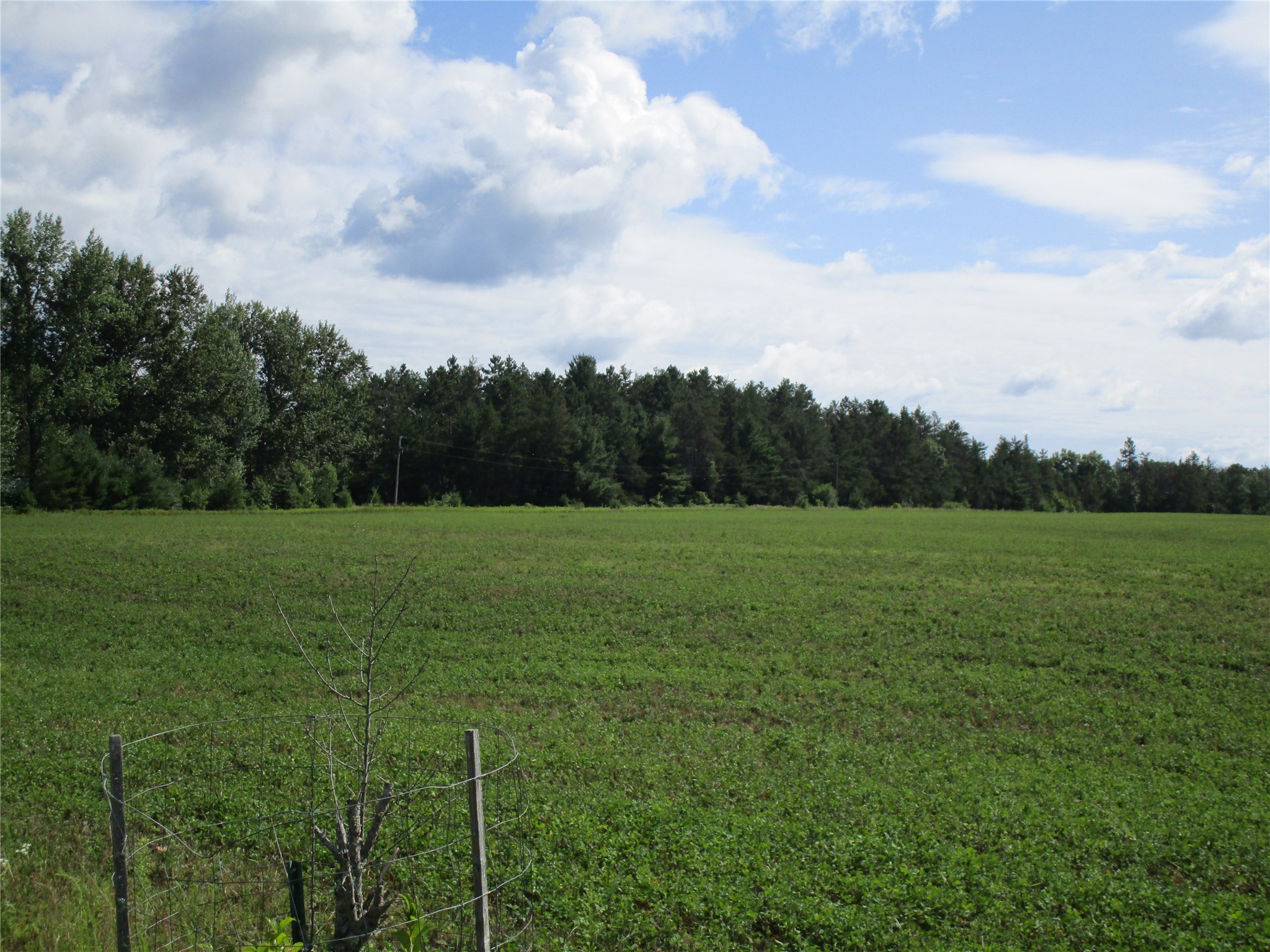 Xx River Pine Drive Property Photo 3
