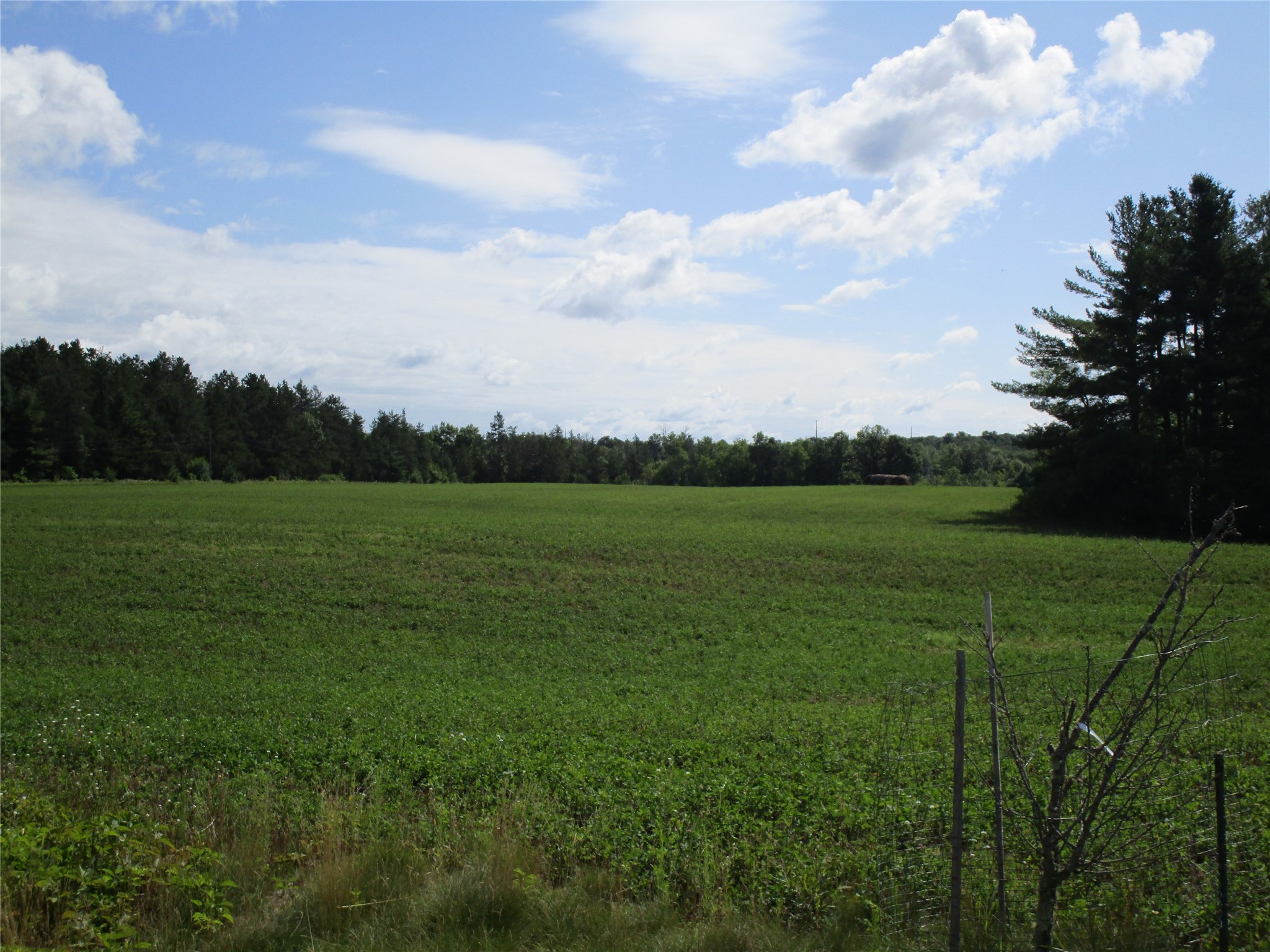 Xx River Pine Drive Property Photo 4