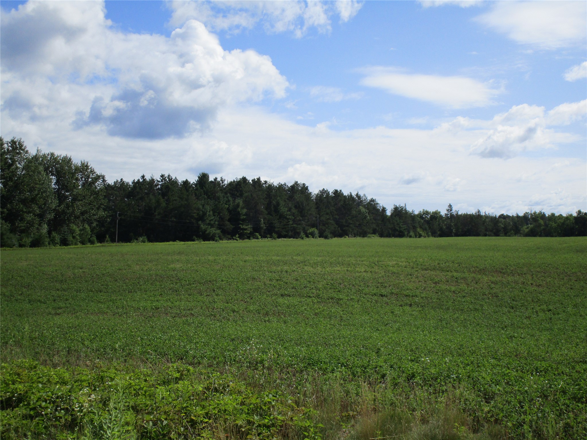Xx River Pine Drive Property Photo 5