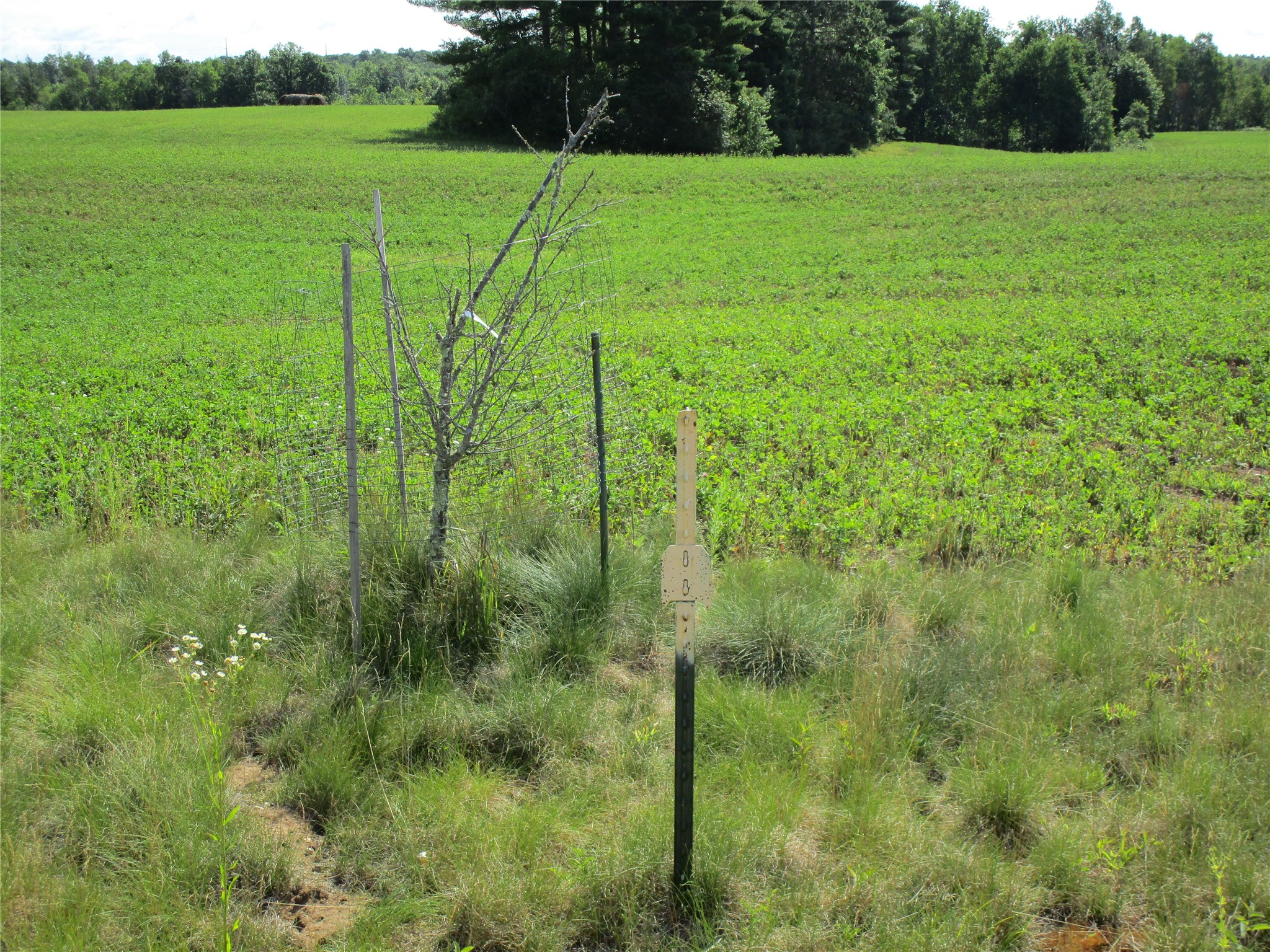 Xx River Pine Drive Property Photo 8