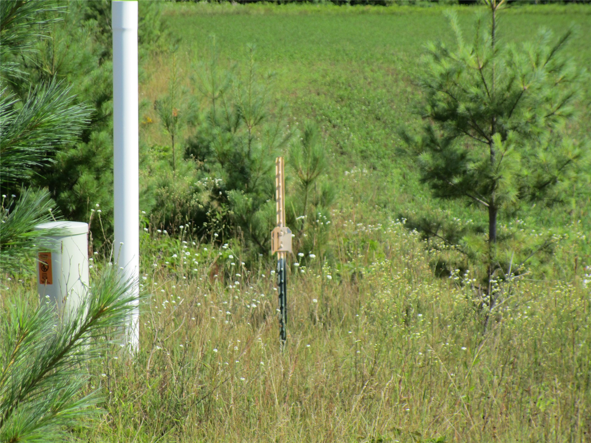 Xx River Pine Drive Property Photo 9