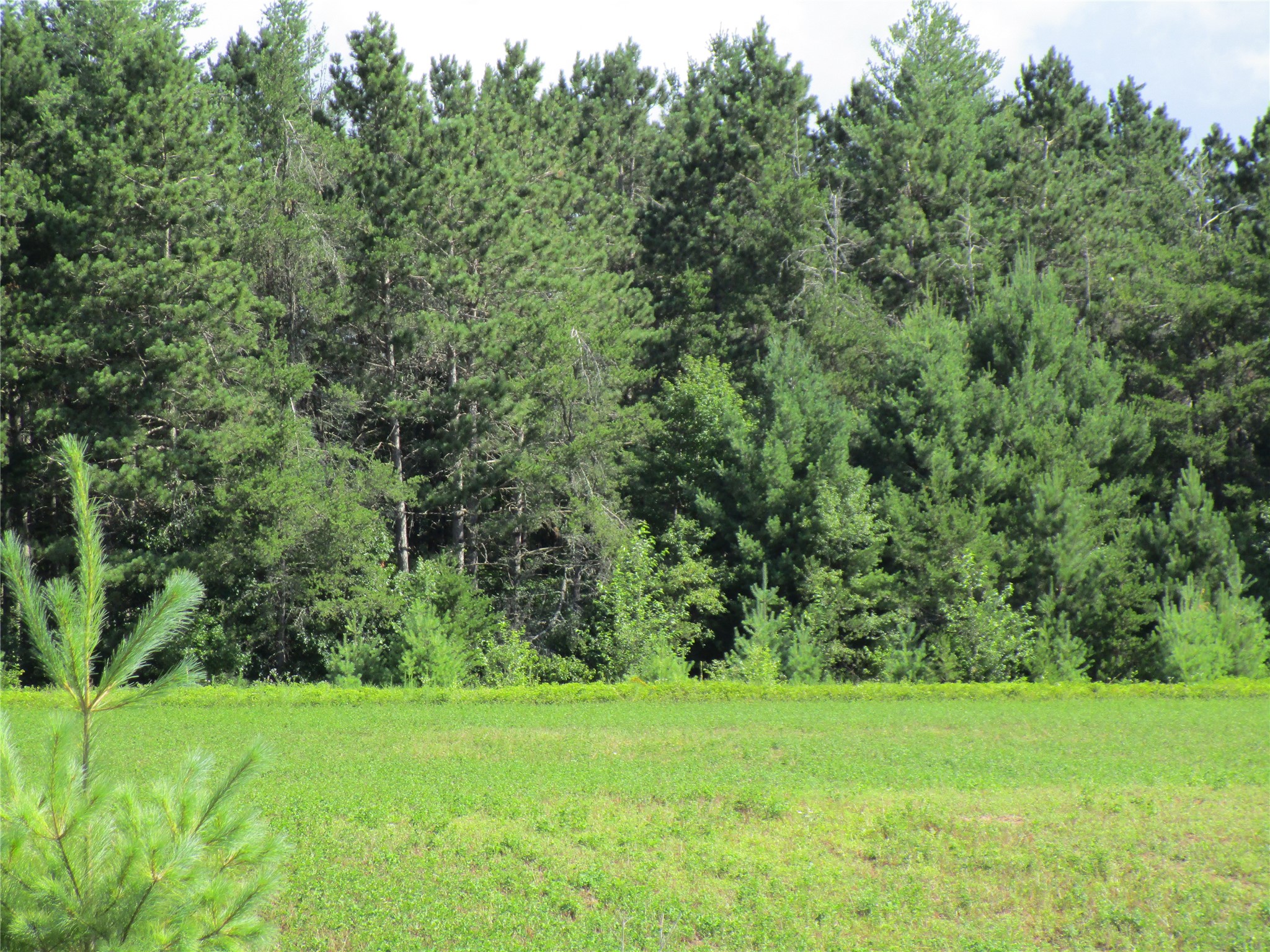 Xx River Pine Drive Property Photo 10