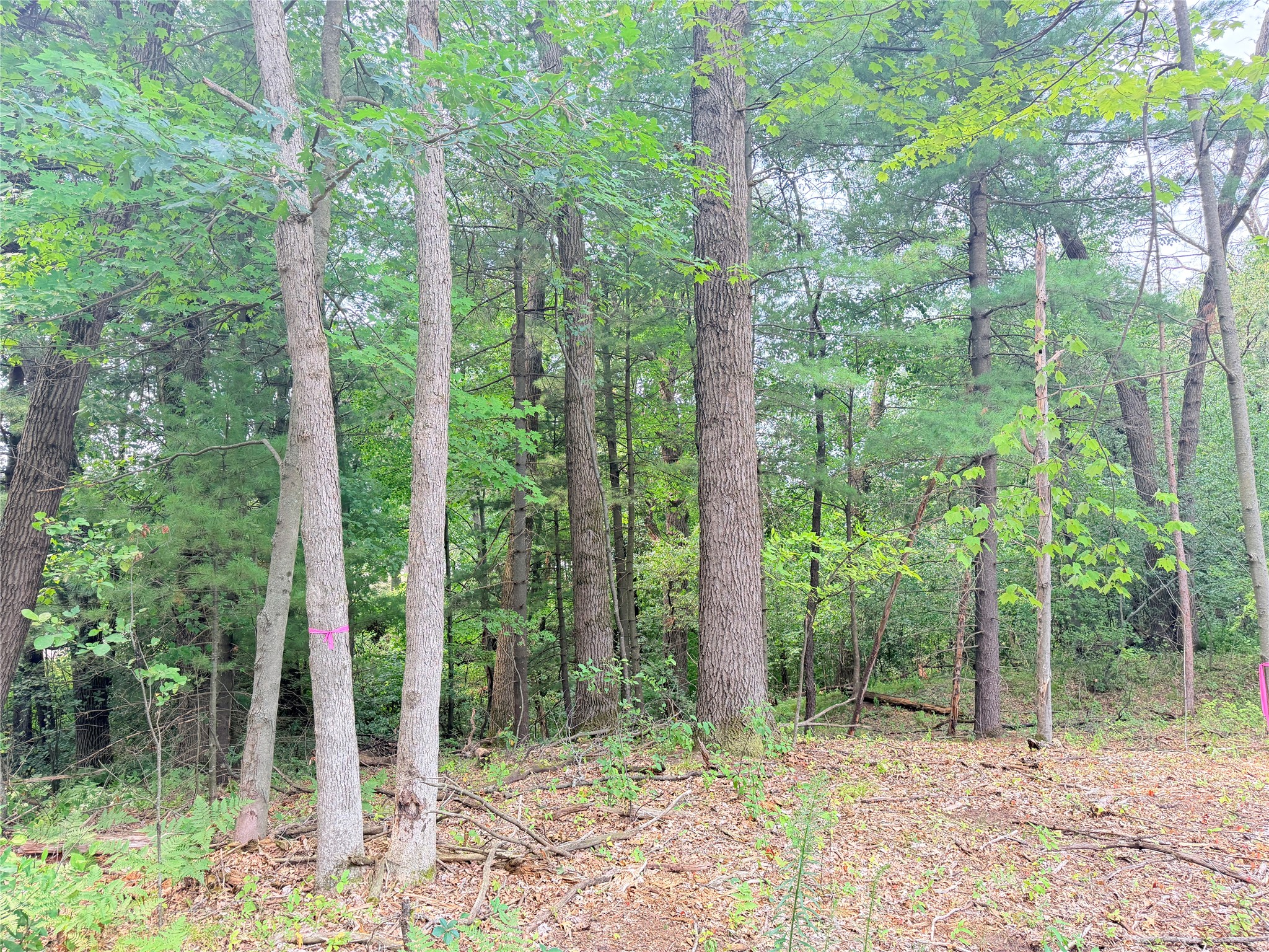 5262 195th Street Property Photo 22