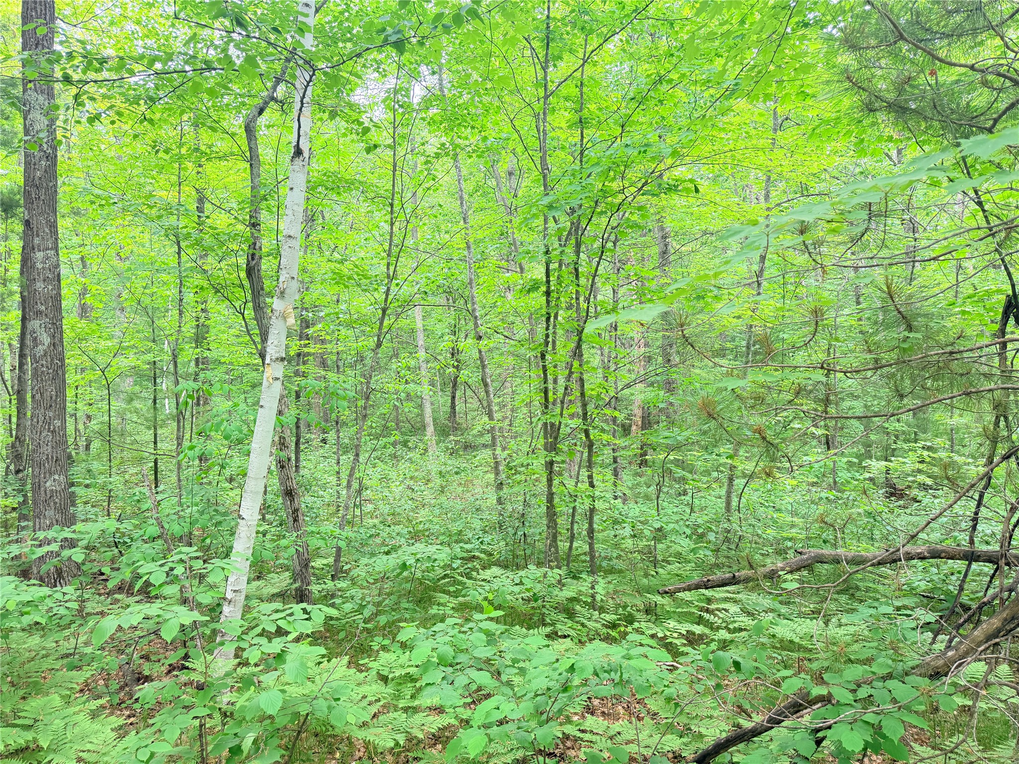 0 Schultz Lane Property Photo 1
