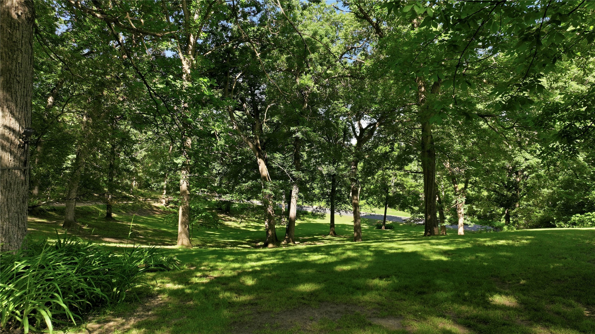 N11054 50th Street Property Photo 45