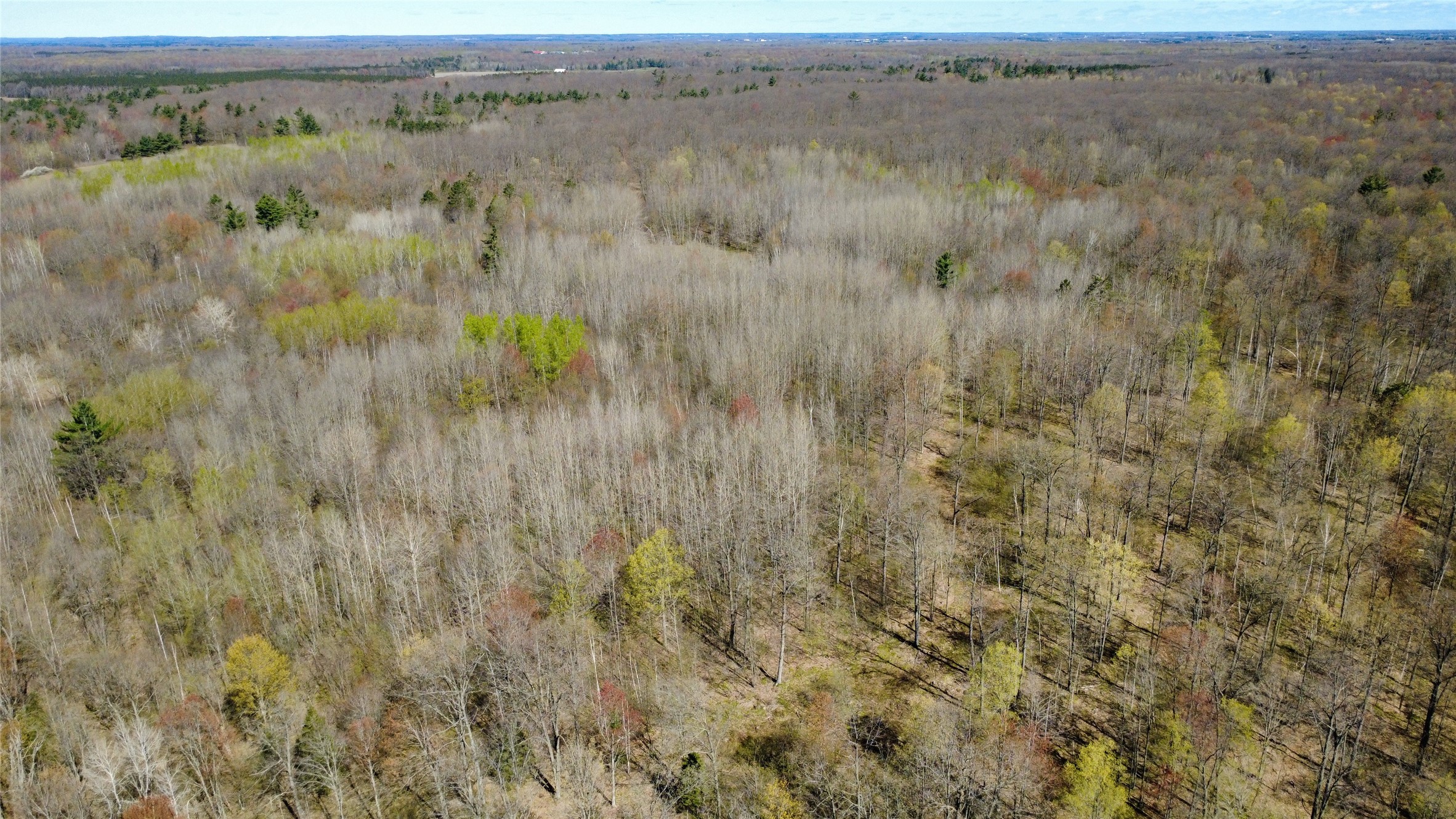 000 Boundary Road Property Photo 8