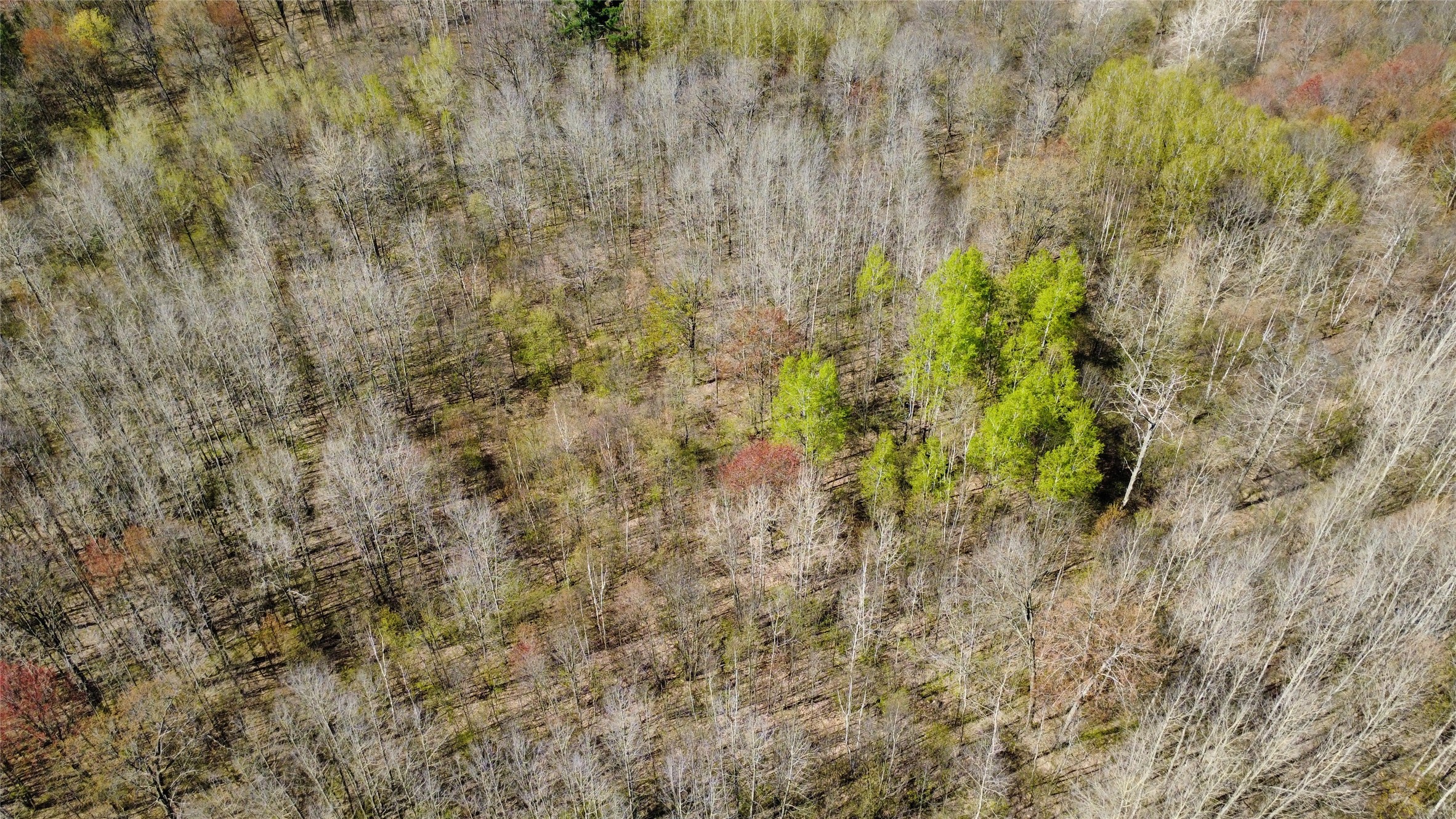 000 Boundary Road Property Photo 9