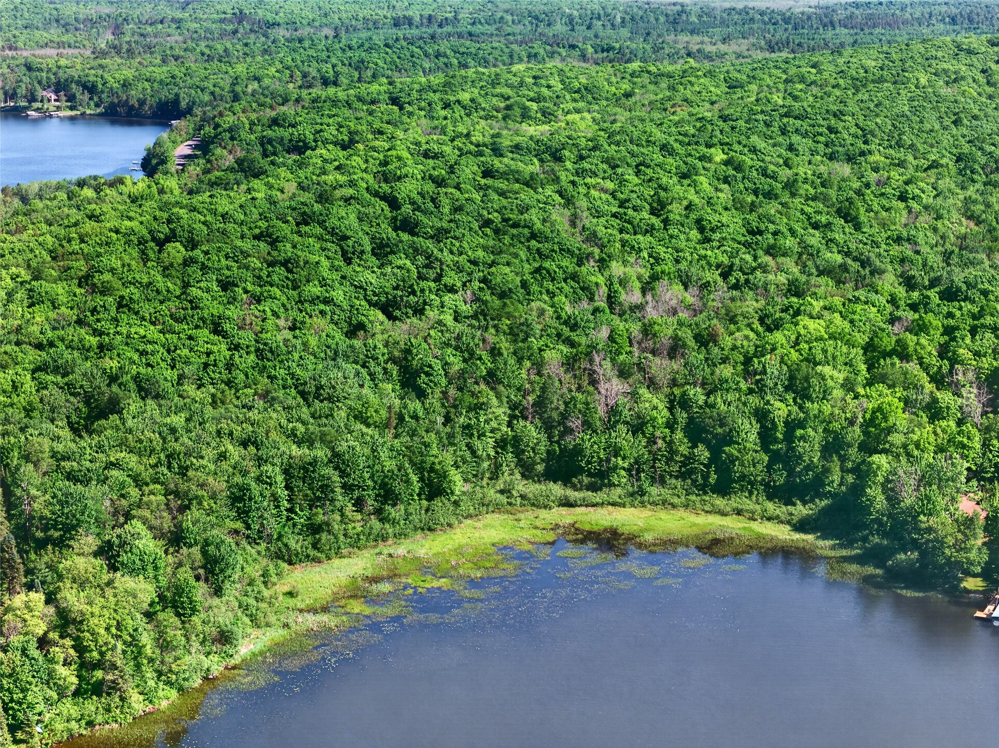 7 Acres Blue Gill Bay Road Property Photo 11