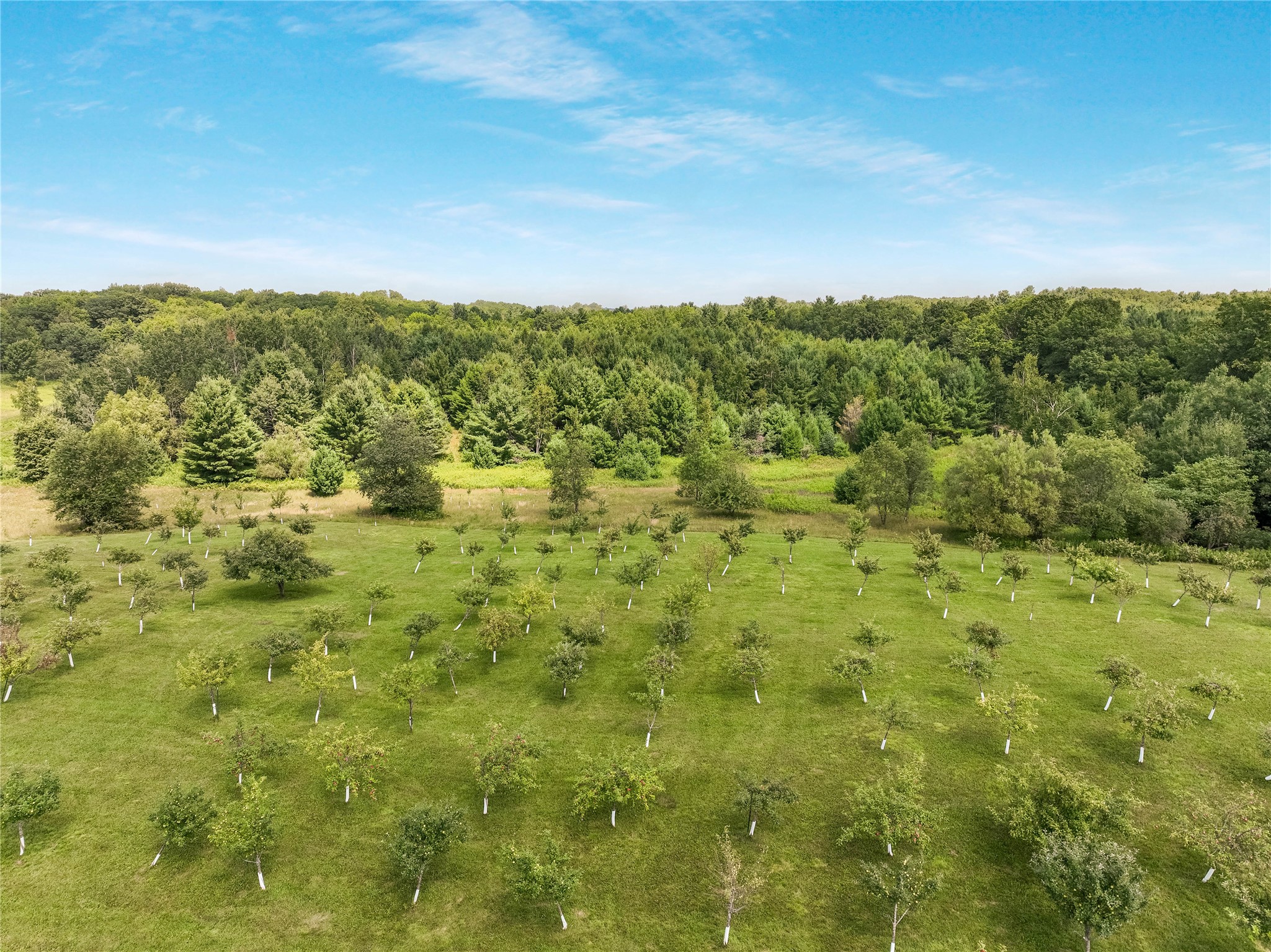 12558 W Twin Lake Road Property Photo 31