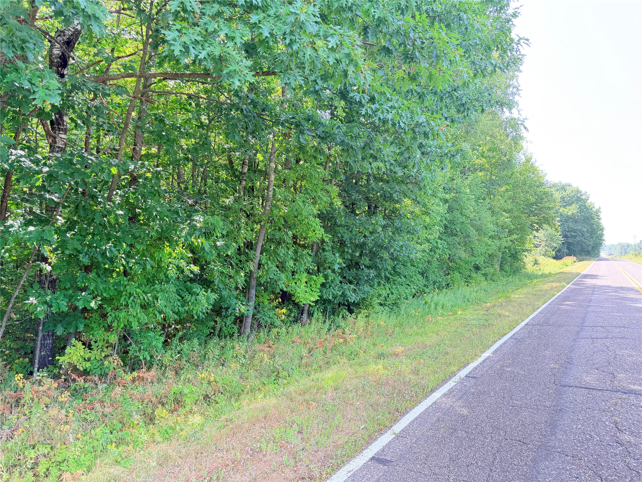 Lot 4 County Highway X Property Photo 6