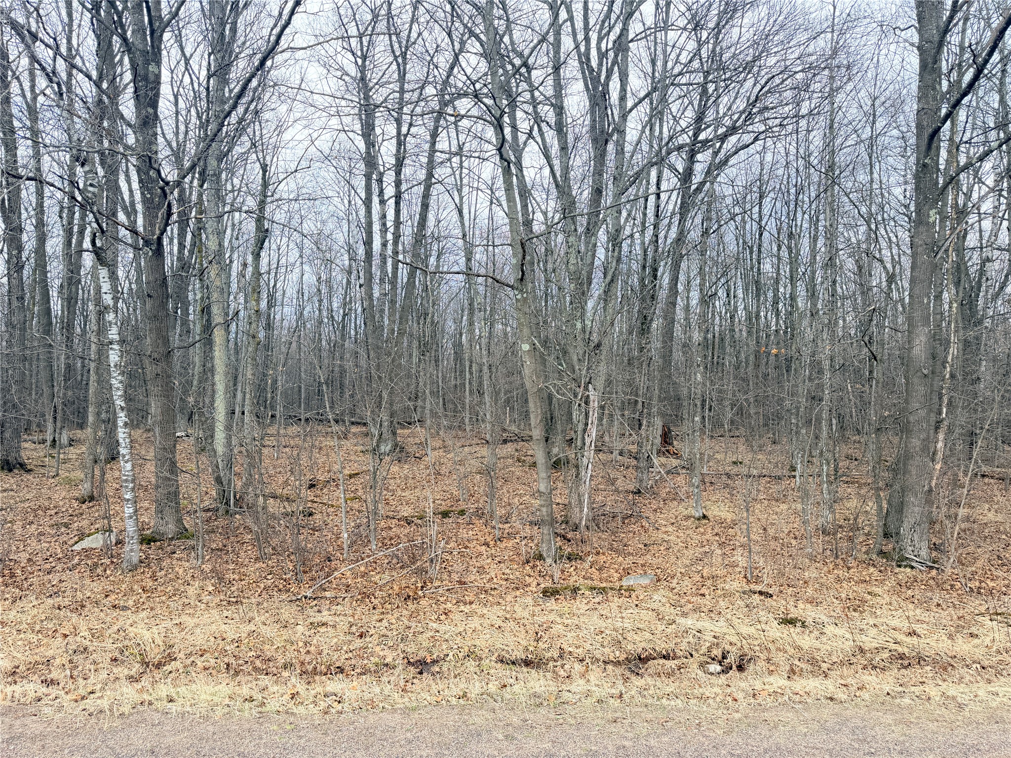 Lot 4 County Highway X Property Photo 22