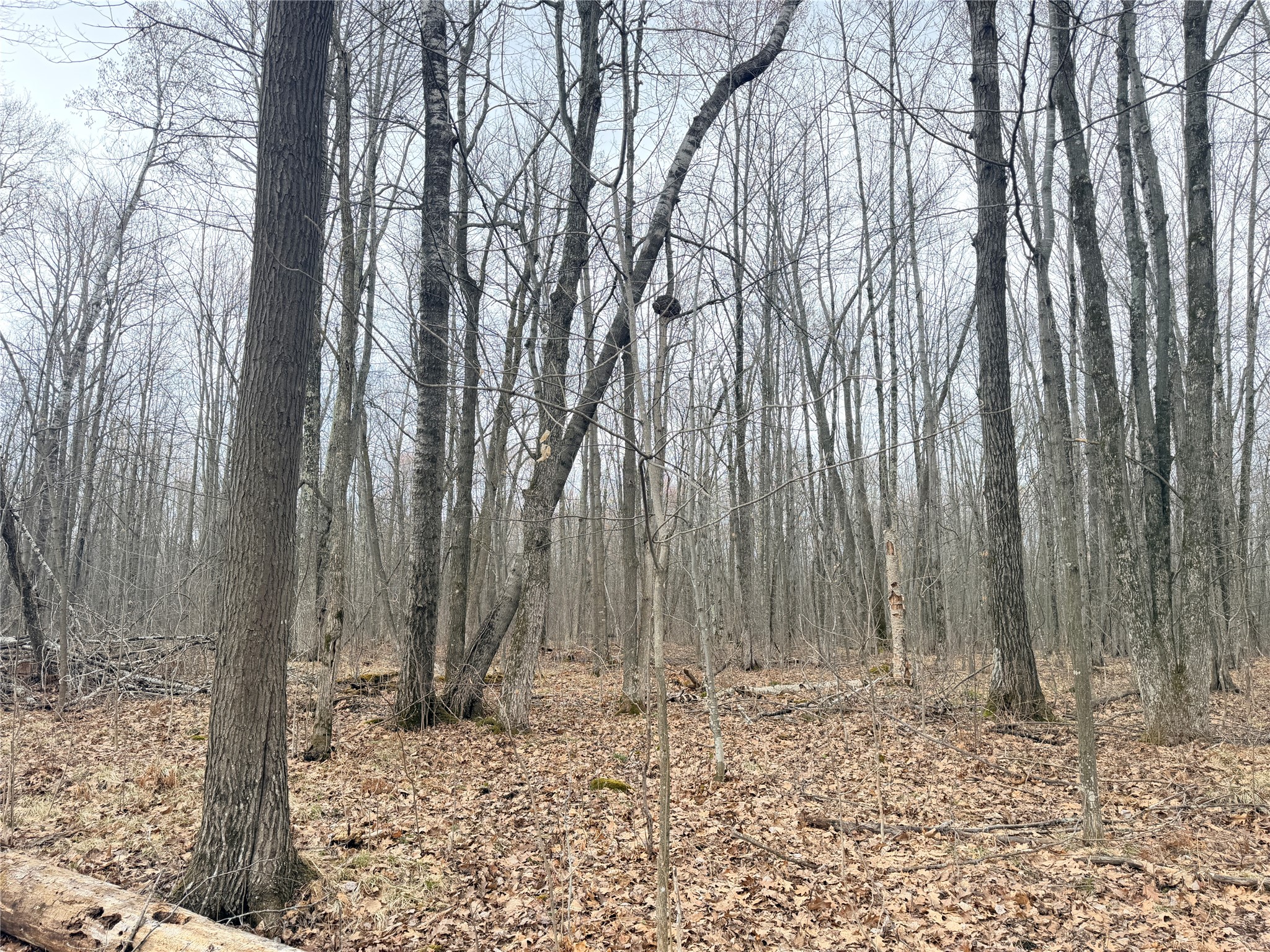 Lot 4 County Highway X Property Photo 25
