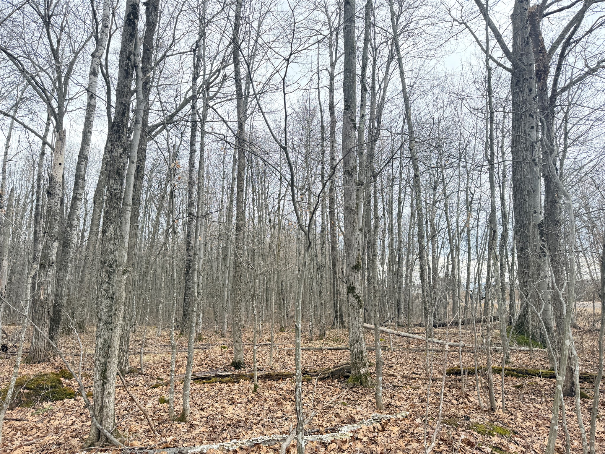 Lot 4 County Highway X Property Photo 27