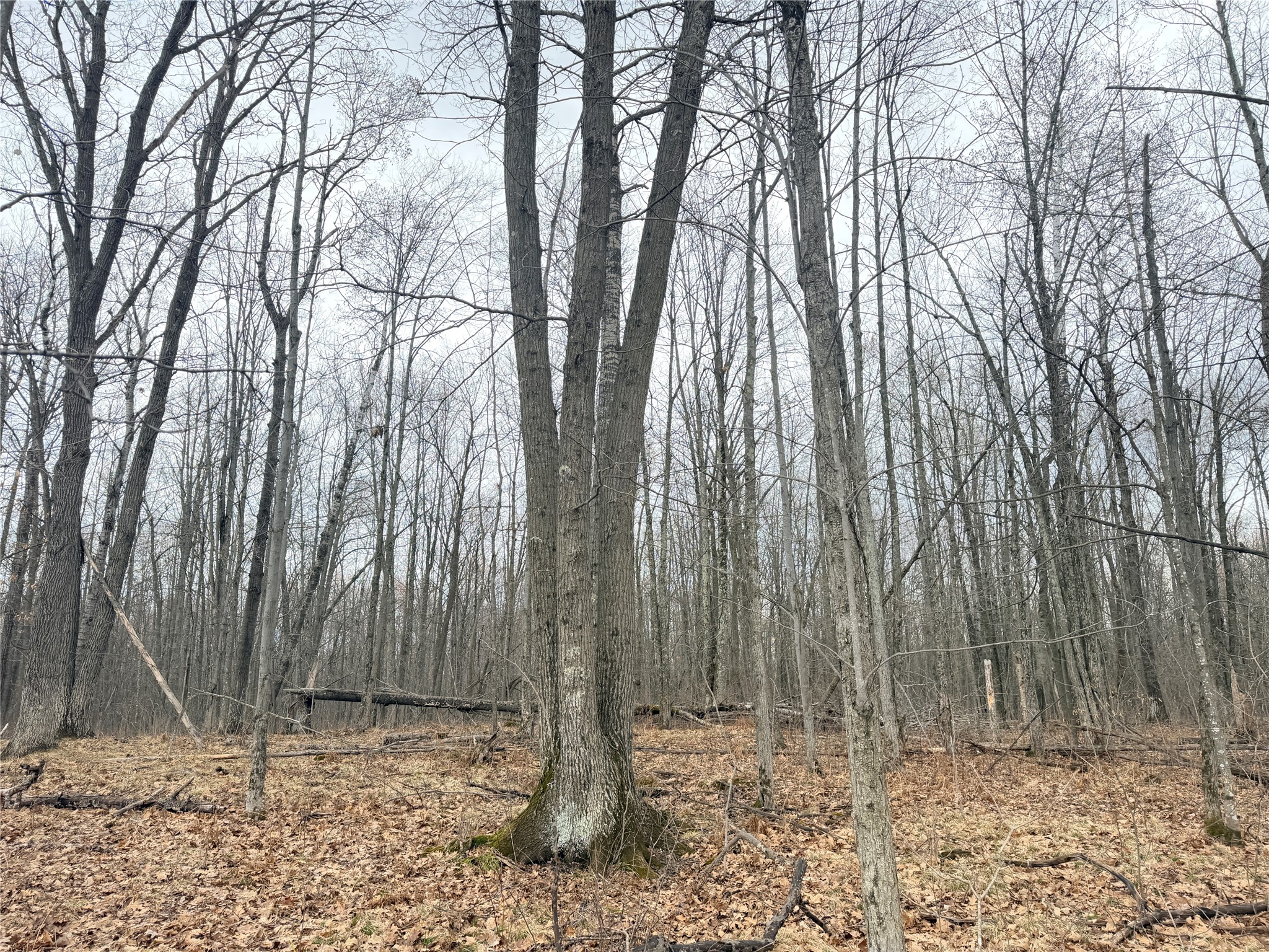 Lot 4 County Highway X Property Photo 28