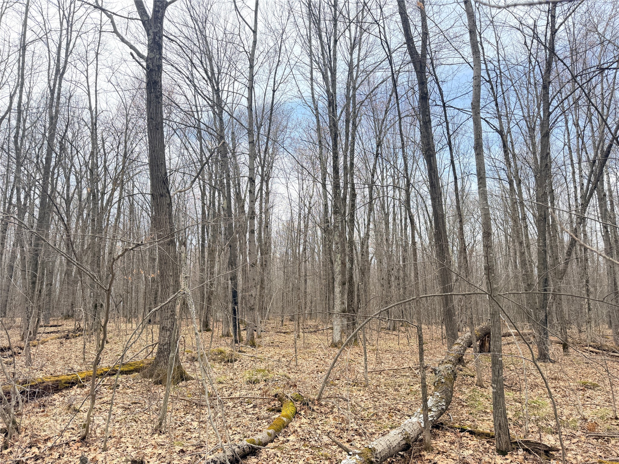 Lot 4 County Highway X Property Photo 29