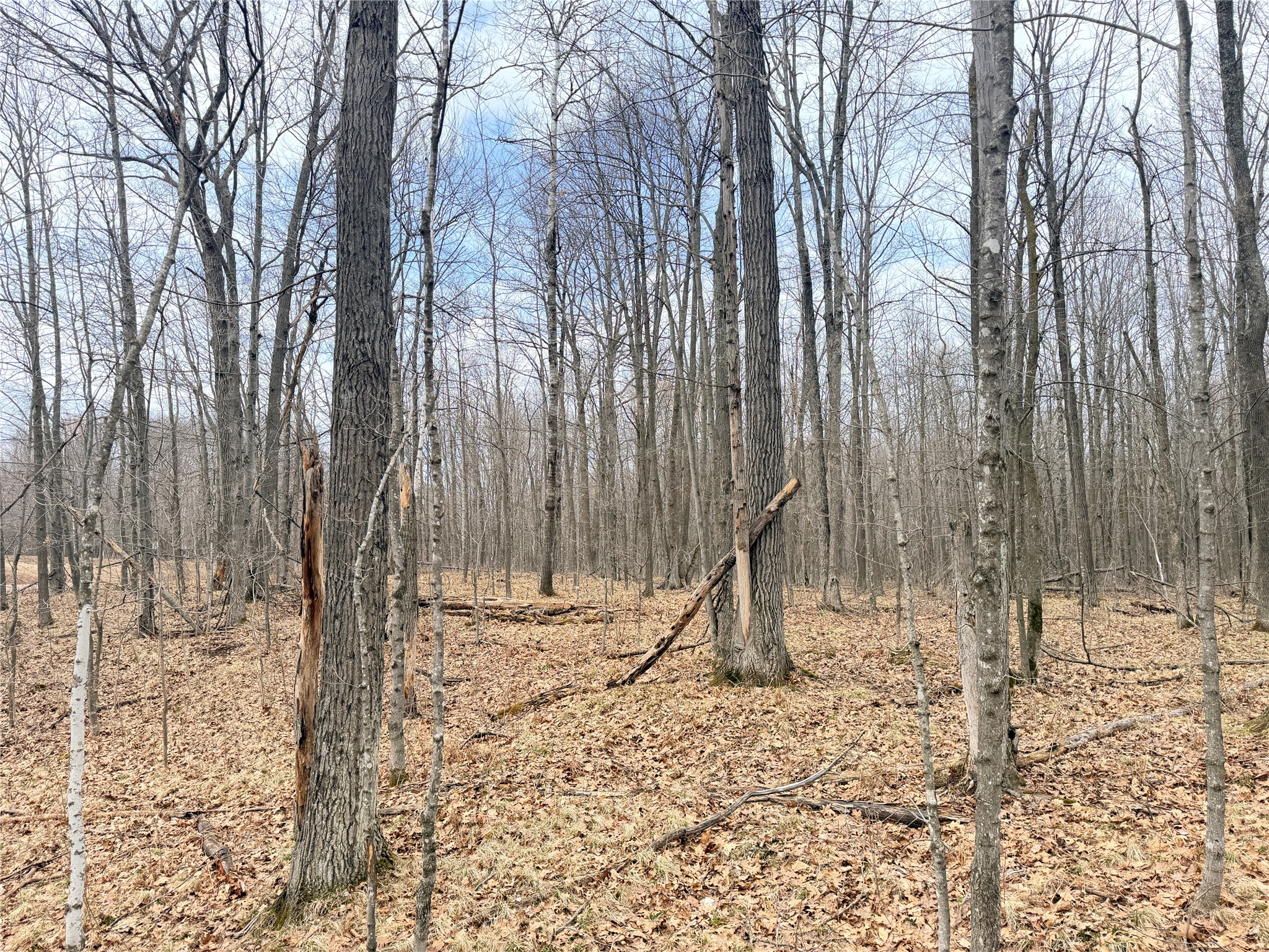 Lot 4 County Highway X Property Photo 31