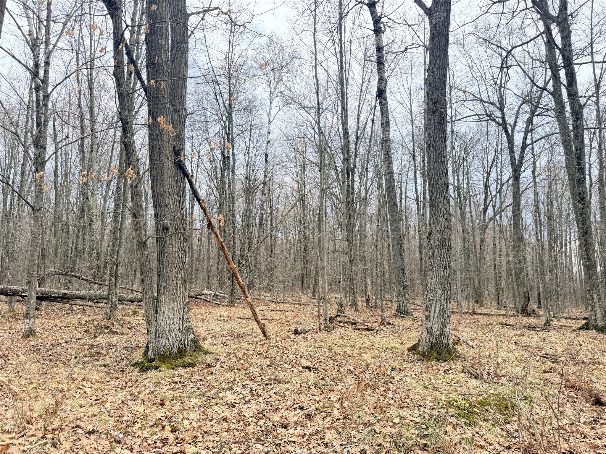 Lot 4 County Highway X Property Photo 32