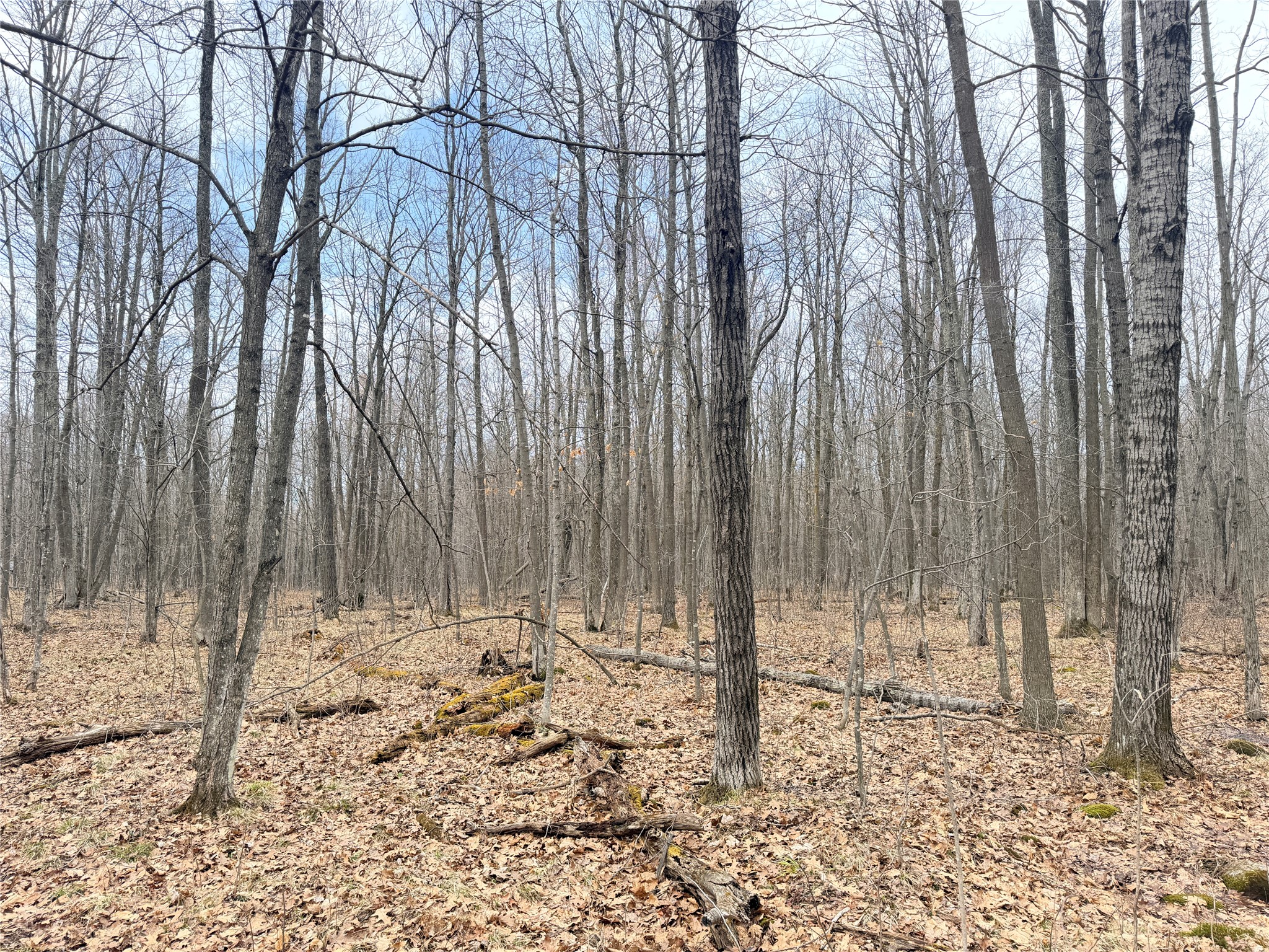 Lot 4 County Highway X Property Photo 33