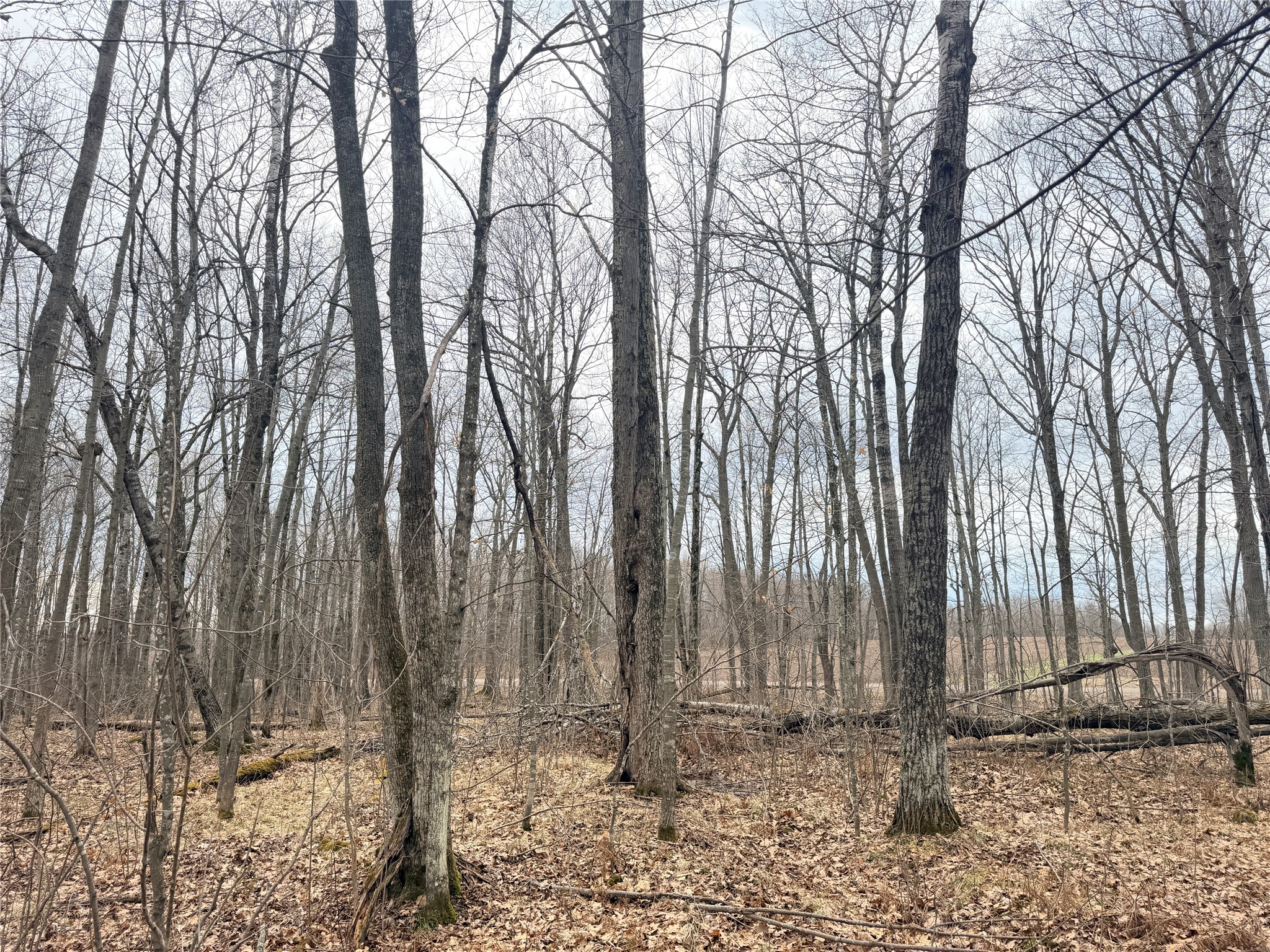 Lot 4 County Highway X Property Photo 34