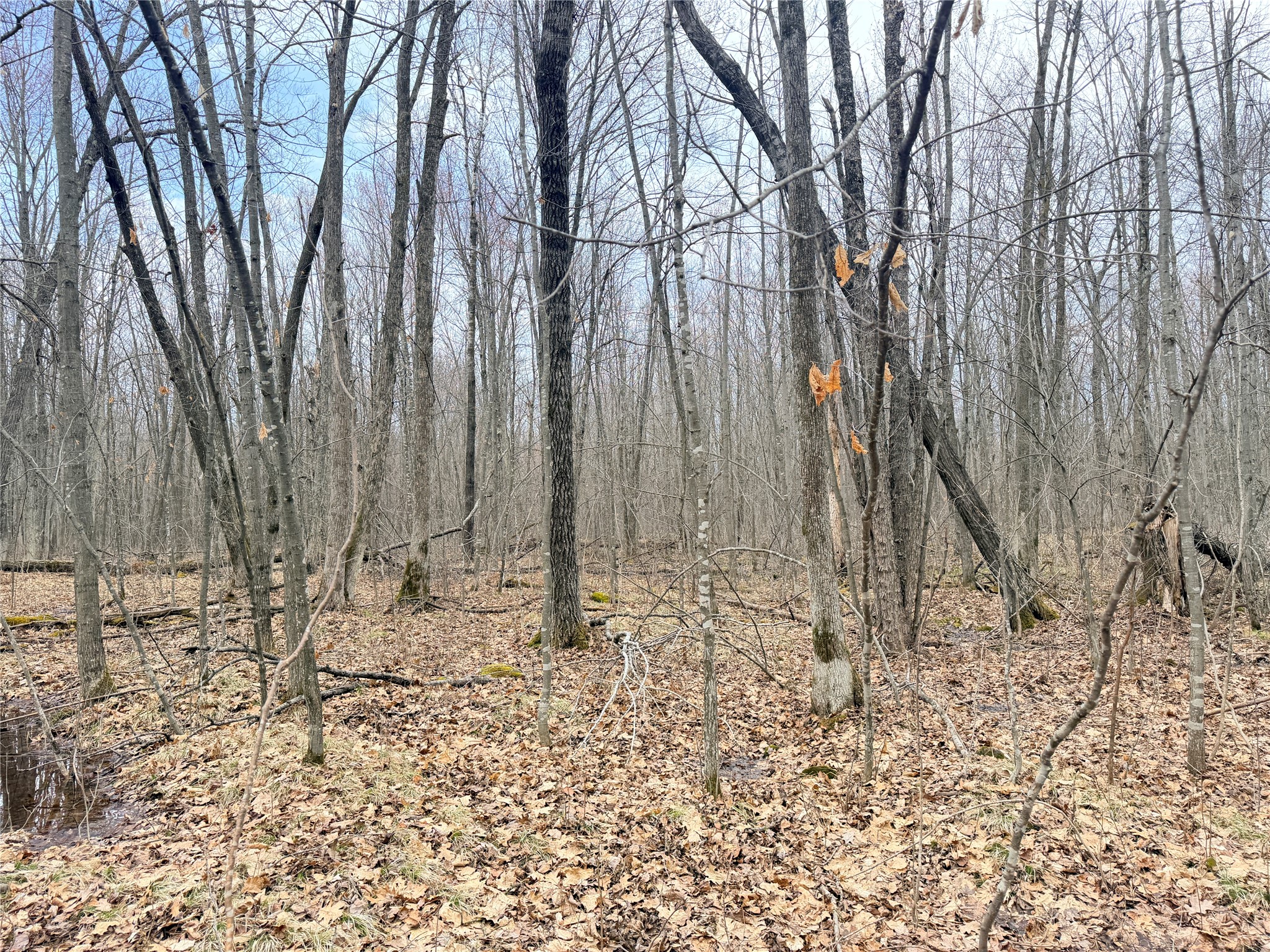 Lot 4 County Highway X Property Photo 36