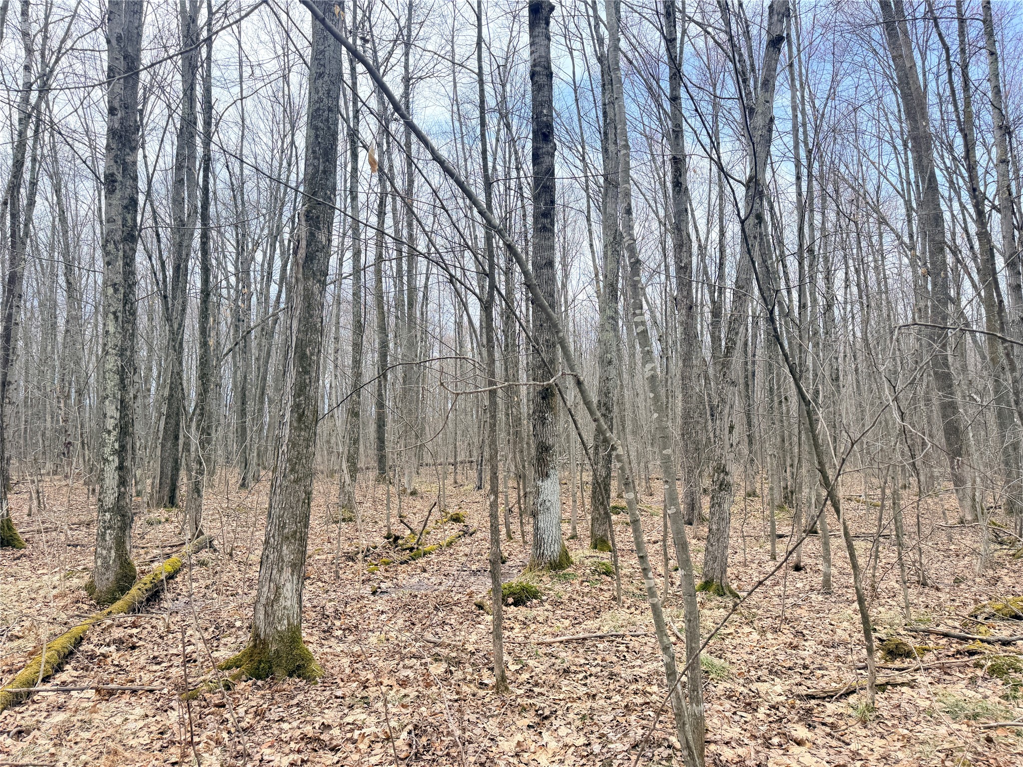Lot 4 County Highway X Property Photo 39
