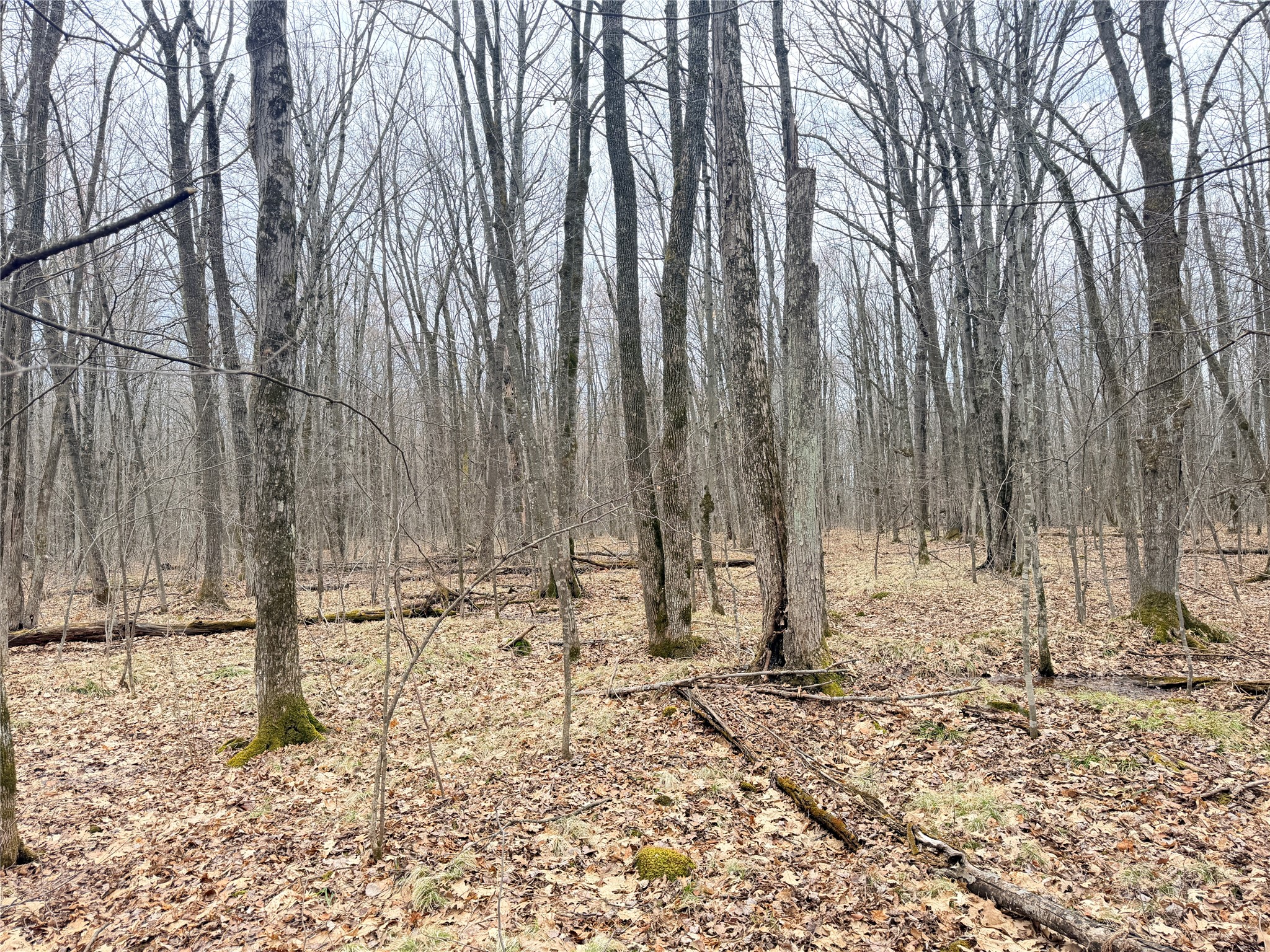 Lot 4 County Highway X Property Photo 40
