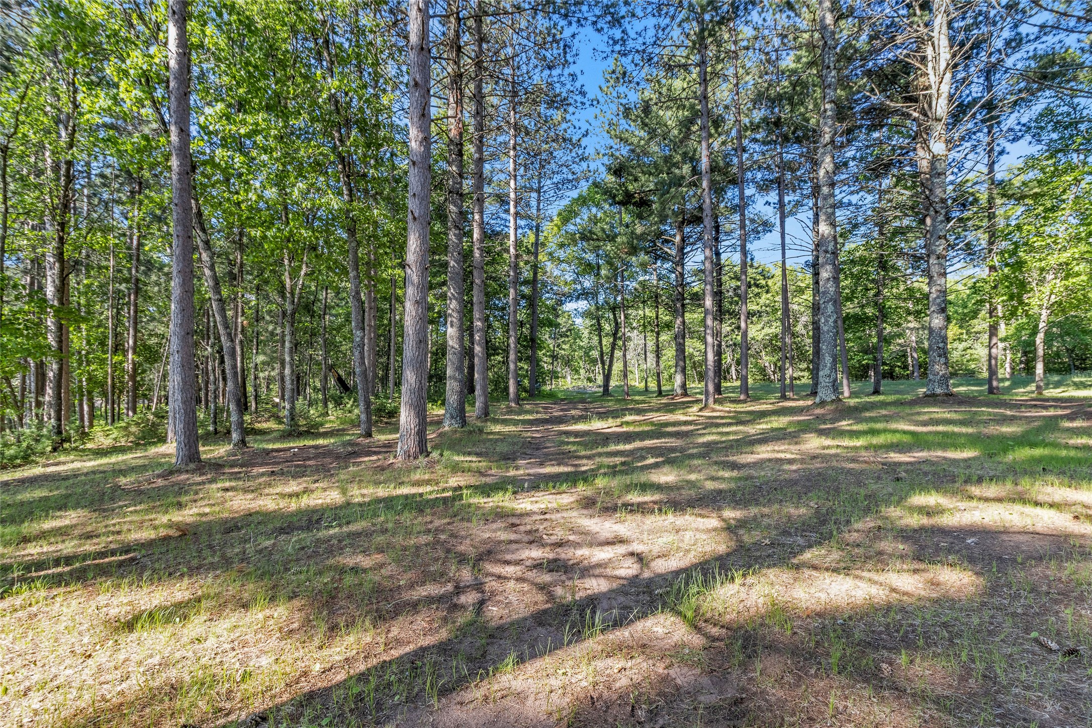 51690 Birch Lake Road Property Photo 9