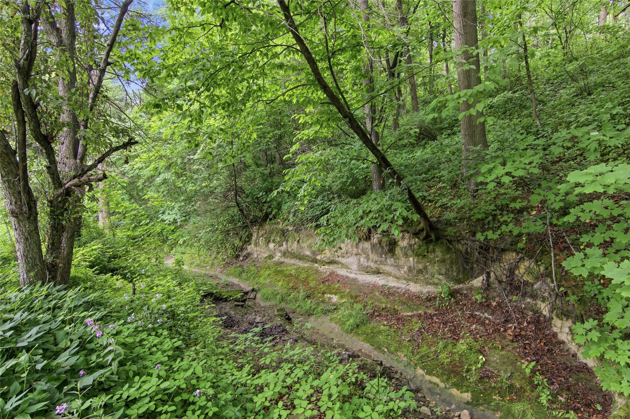W7377 Us Highway 10 Property Photo 41
