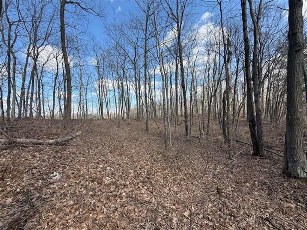 Tbd Old Highway 63 Property Photo 2