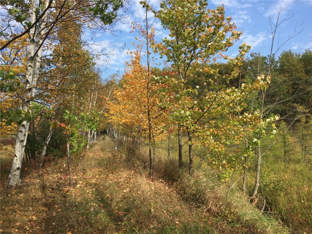 Tbd Old Highway 63 Property Photo 6
