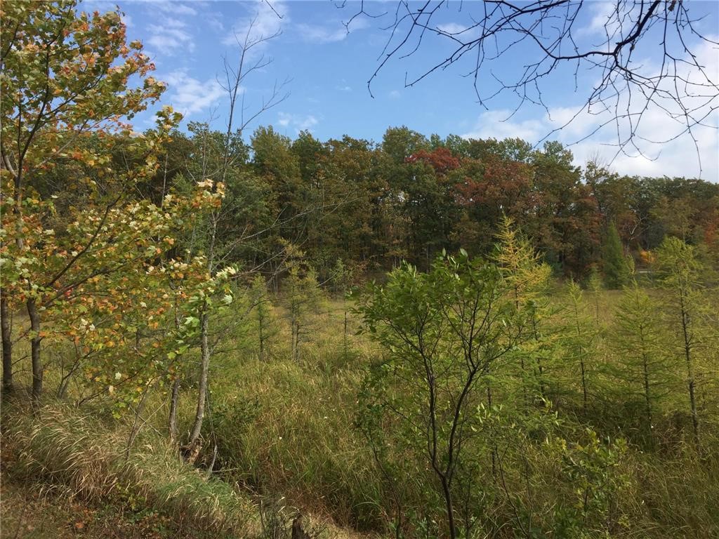 Tbd Old Highway 63 Property Photo 10