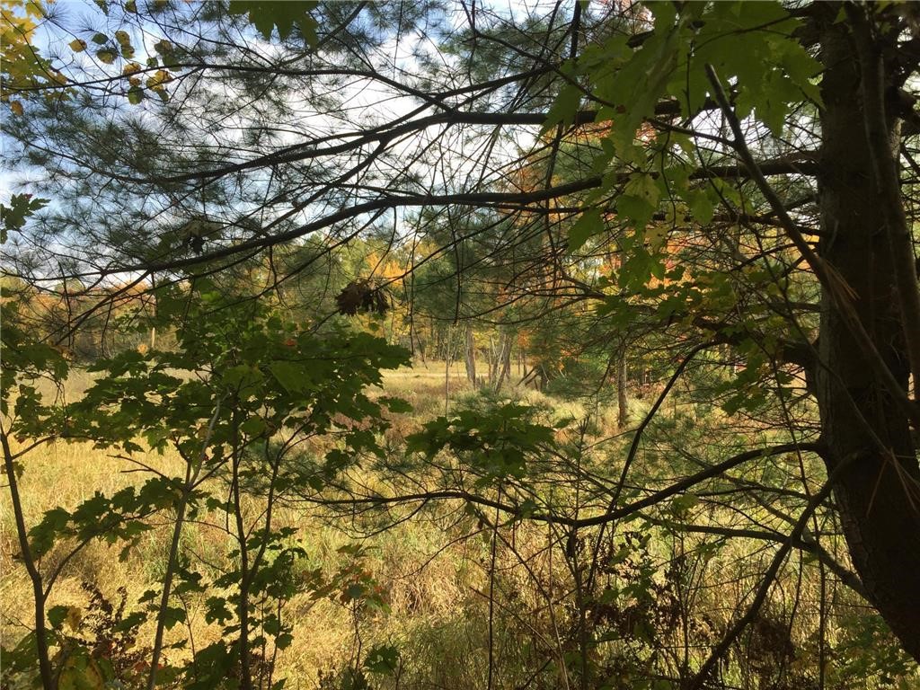 Tbd Old Highway 63 Property Photo 11
