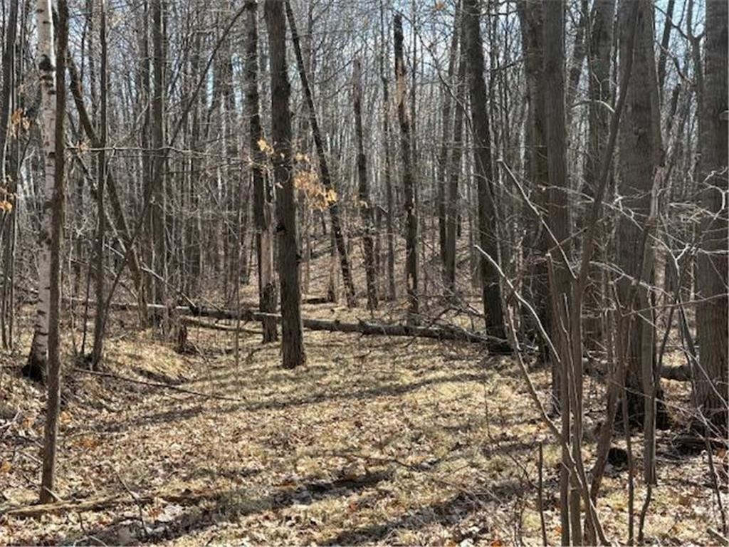 Tbd Old Highway 63 Property Photo 12