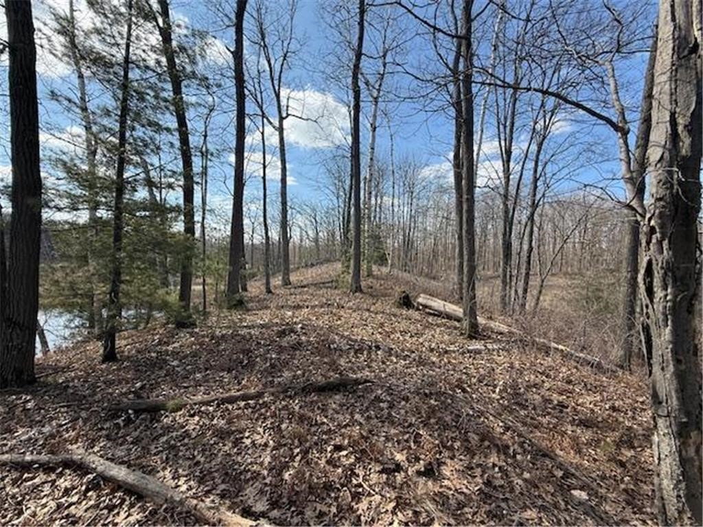 Tbd Old Highway 63 Property Photo 13