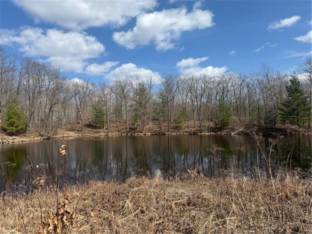 Tbd Old Highway 63 Property Photo 14
