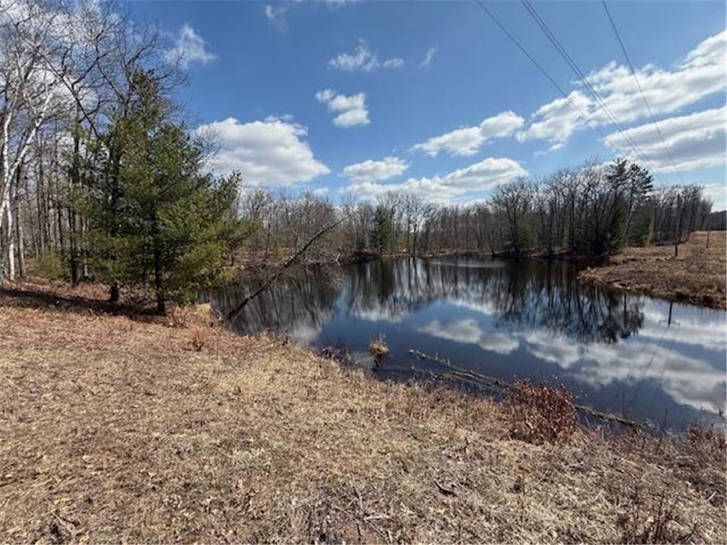Tbd Old Highway 63 Property Photo 15