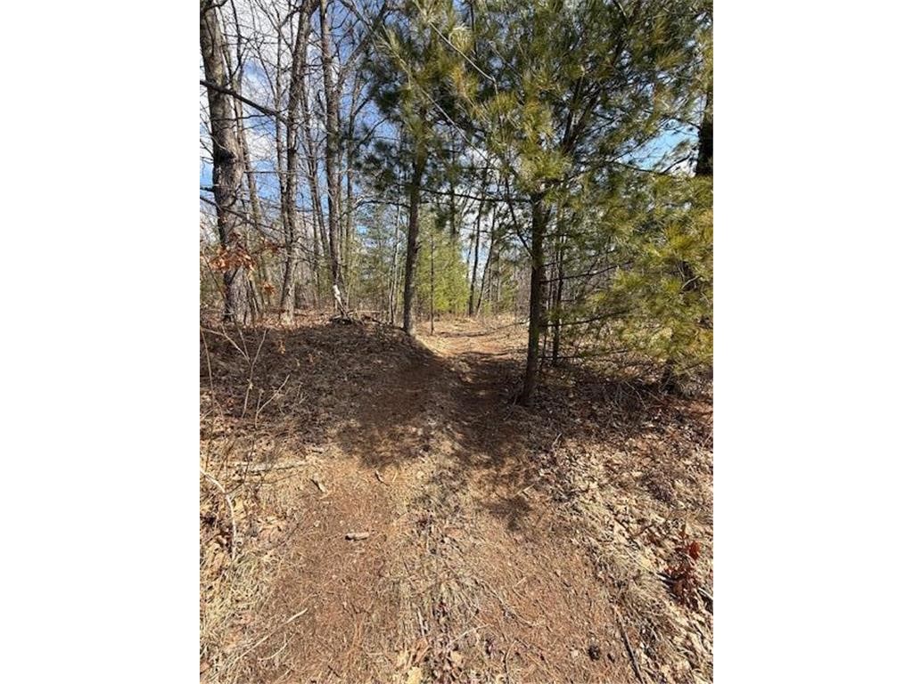 Tbd Old Highway 63 Property Photo 16