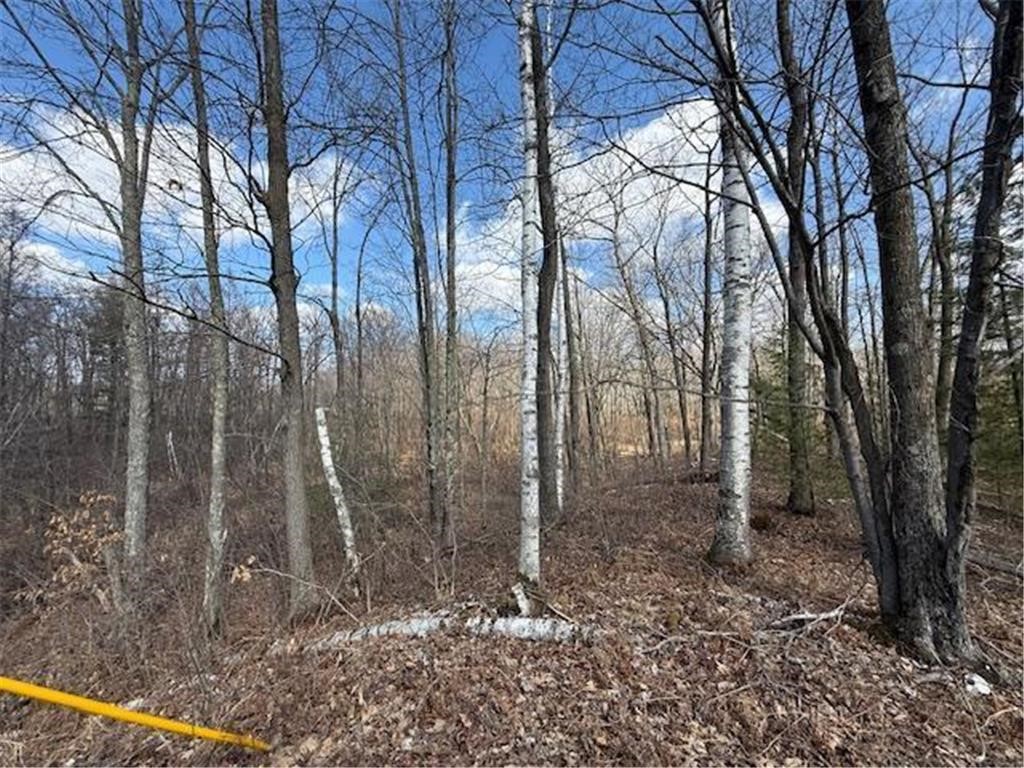 Tbd Old Highway 63 Property Photo 17
