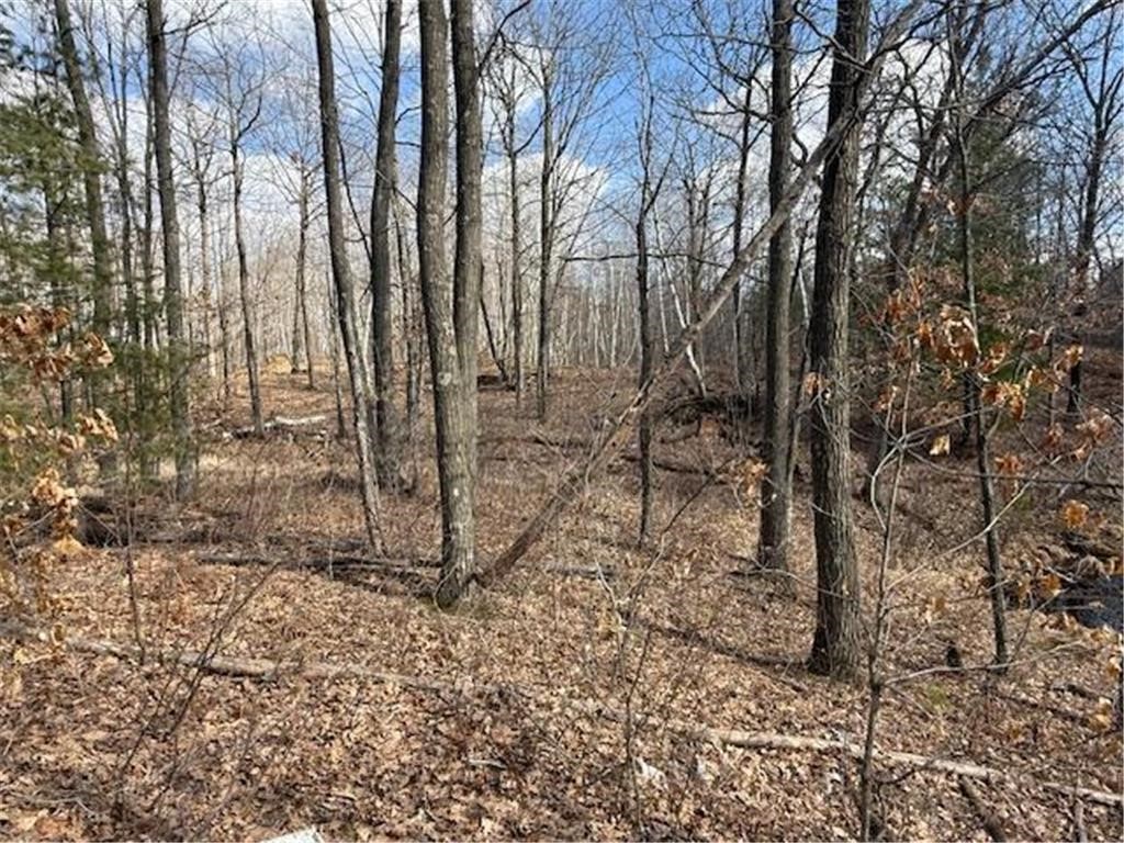Tbd Old Highway 63 Property Photo 18