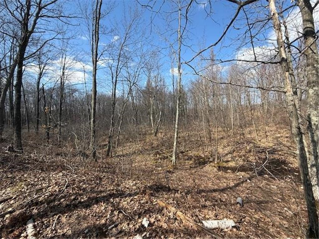 Tbd Old Highway 63 Property Photo 19